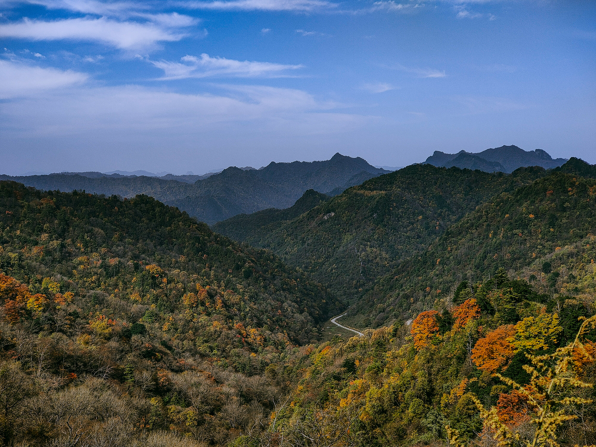 汉中中专学校：如何选择最适合你的专业？