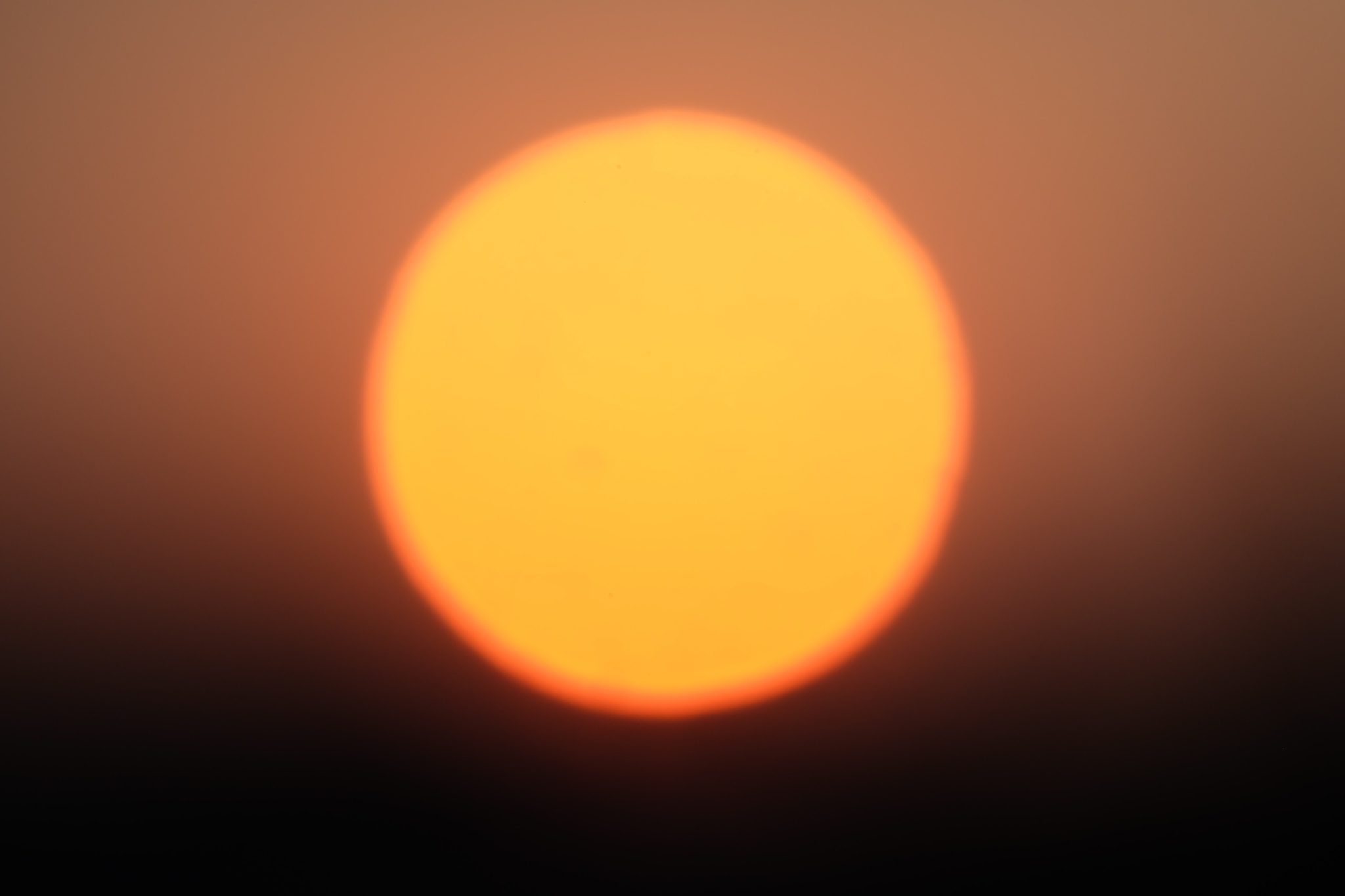 blurs of sun in the evening