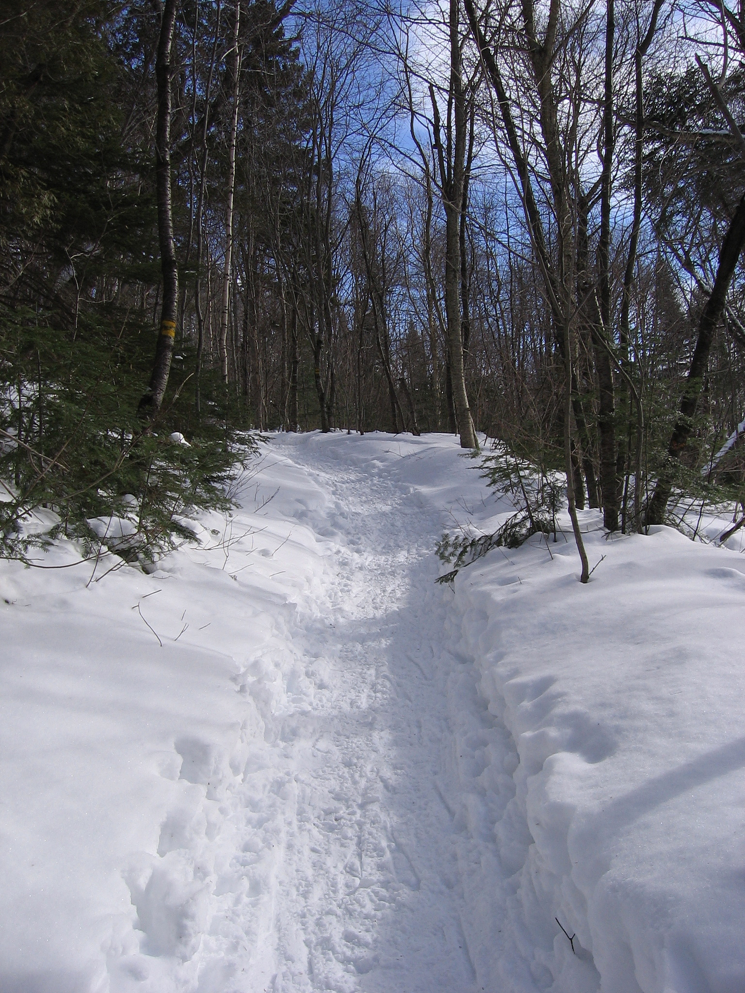 Challenging Conventional Wisdom: Six-Year Field Experiment in North China Plain's Rotation System