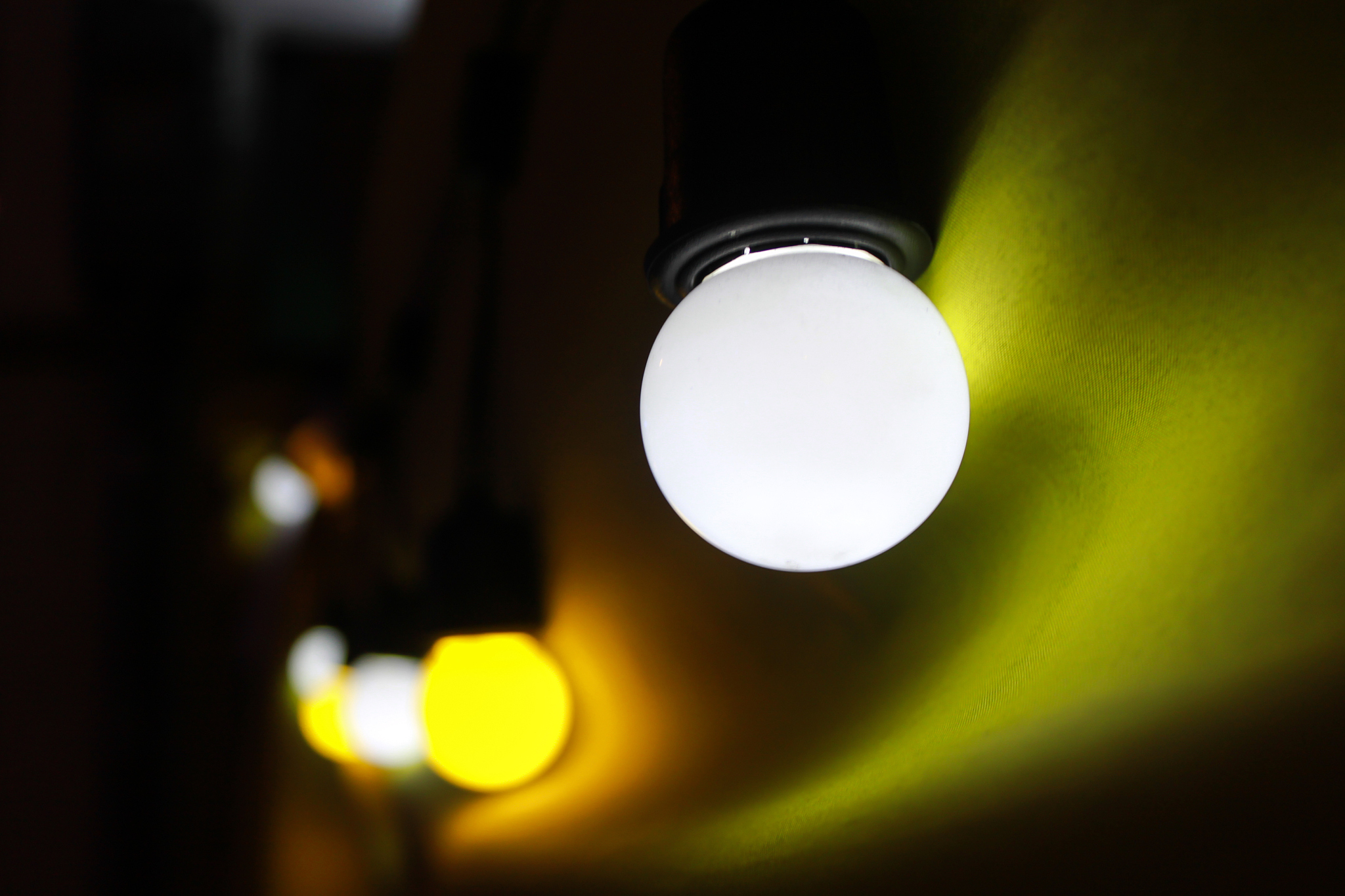 鱼灯色温选择指南：白光、暖白光哪种更适合你？