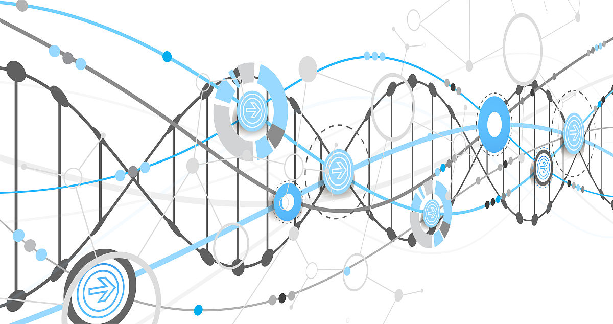 超路径：非线性信息组织与交互的未来趋势