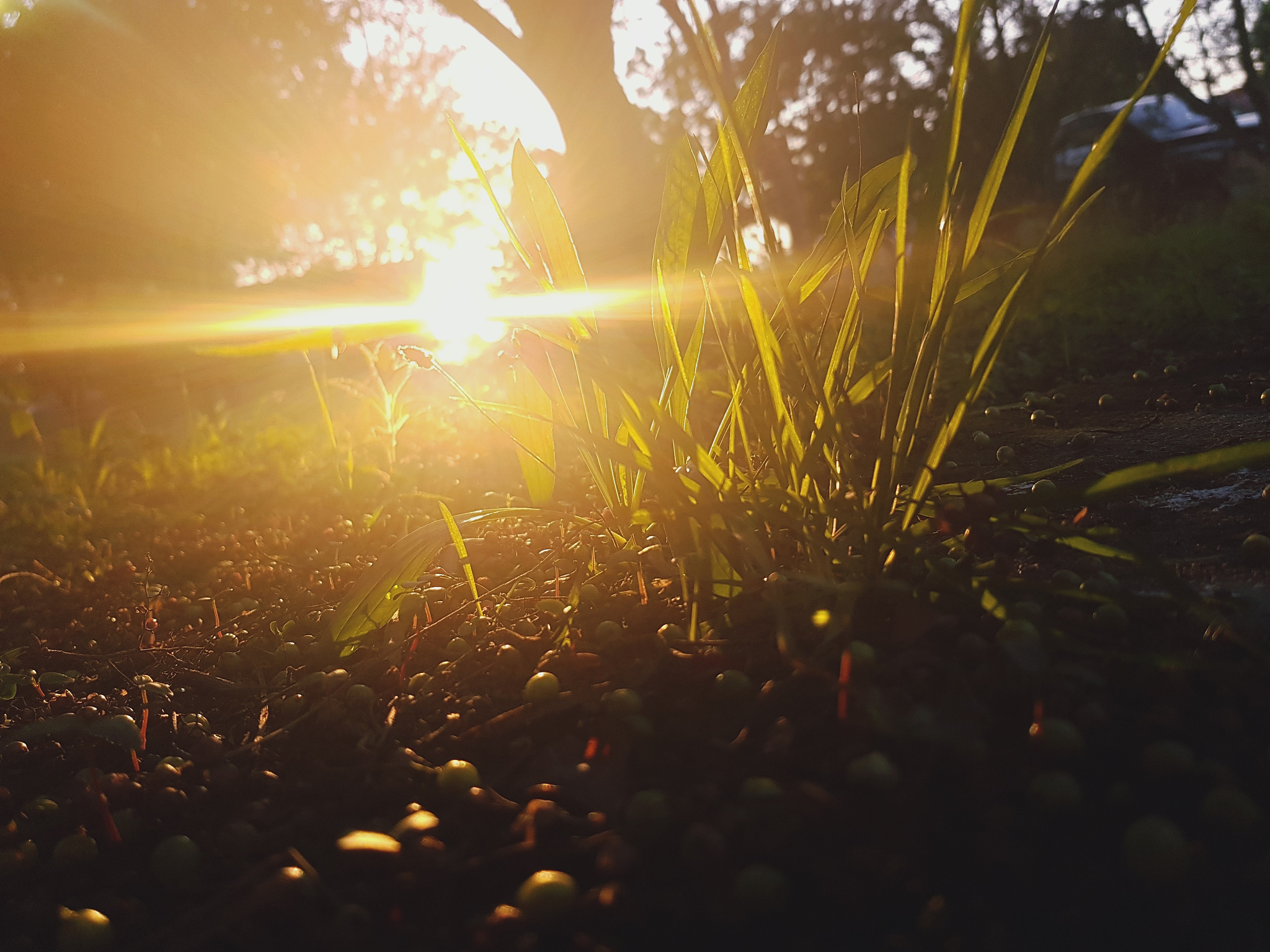 有光的地方就有影有影的地方才有光什么意思？