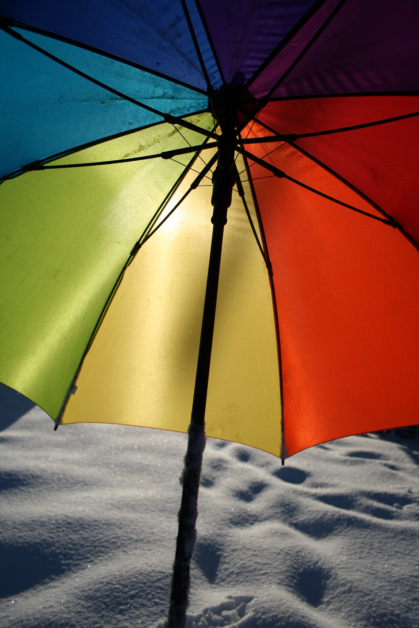 umbrella in snow