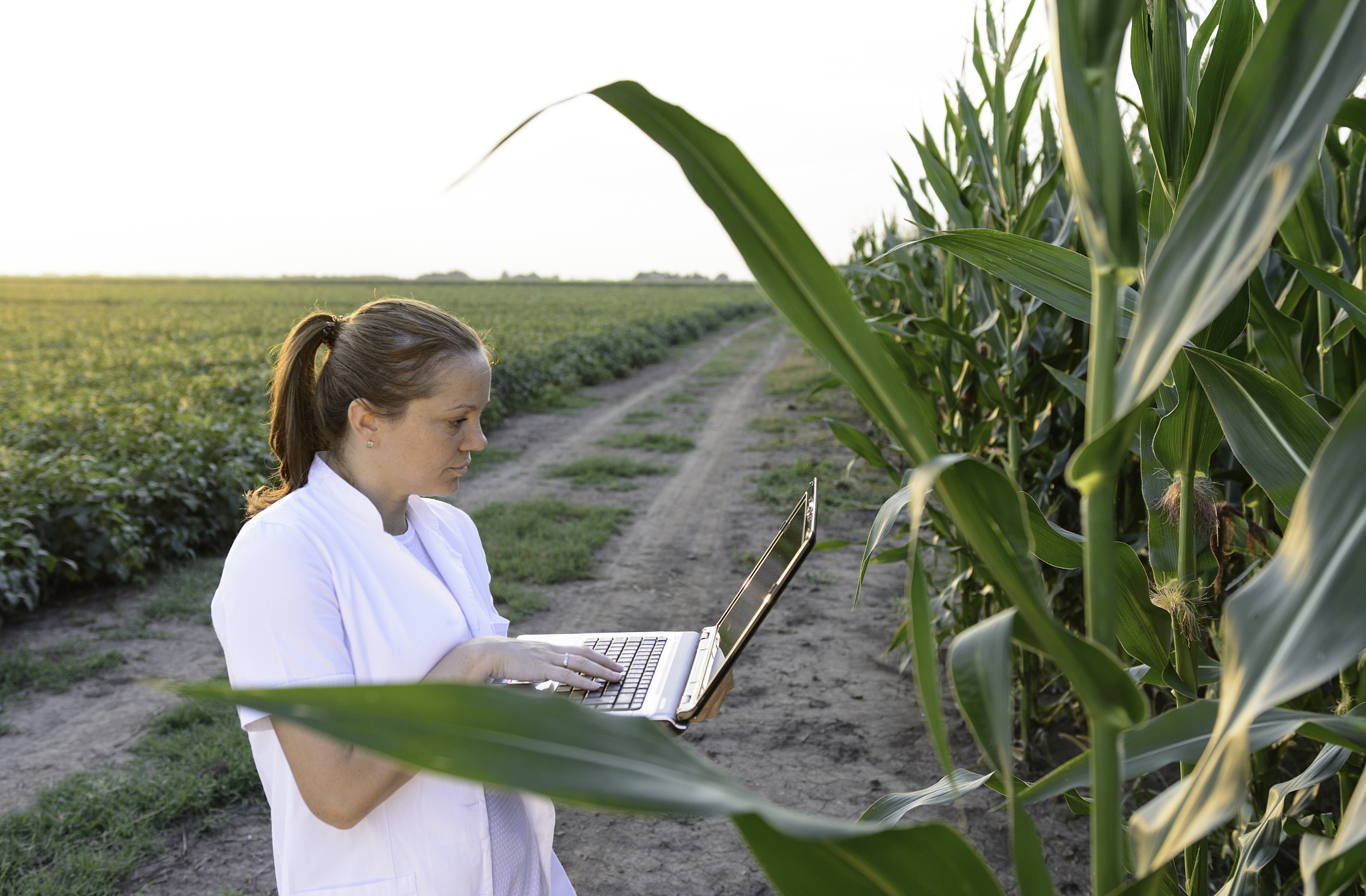 营口市农业工程学校报名要求？