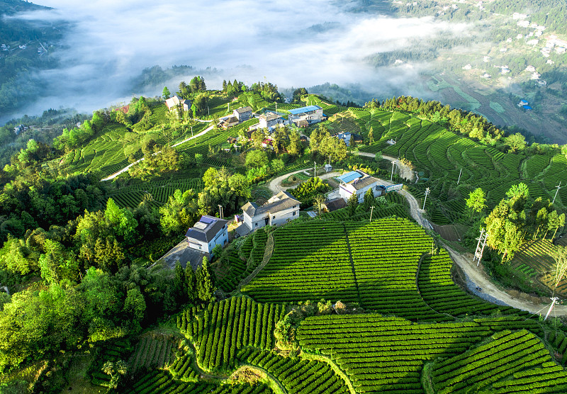 你们县自然资源不错但是养在深闺无人知茶叶资源丰富有革命遗址古城遗迹与其他知名景区隔得近让你搞一个旅游规划方案你会重点推介什么按照公务员面试标准回答600字左右加上和附近的知名景区一起开发旅游项目