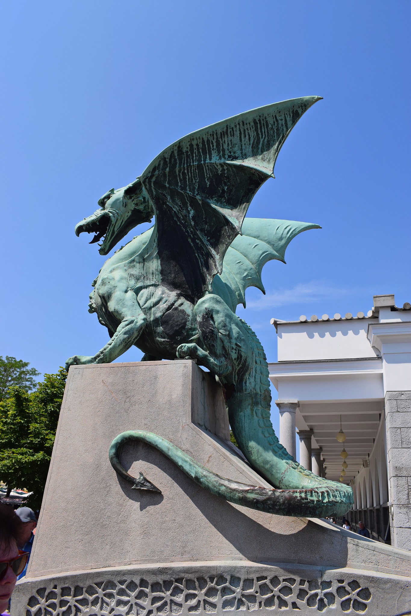 dragon