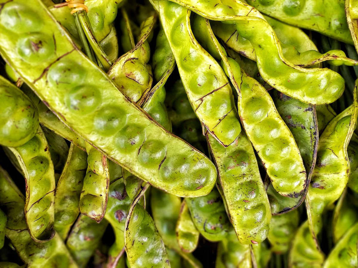 全球反腐专题片推荐：中国、美国、英国等国家优秀影视作品