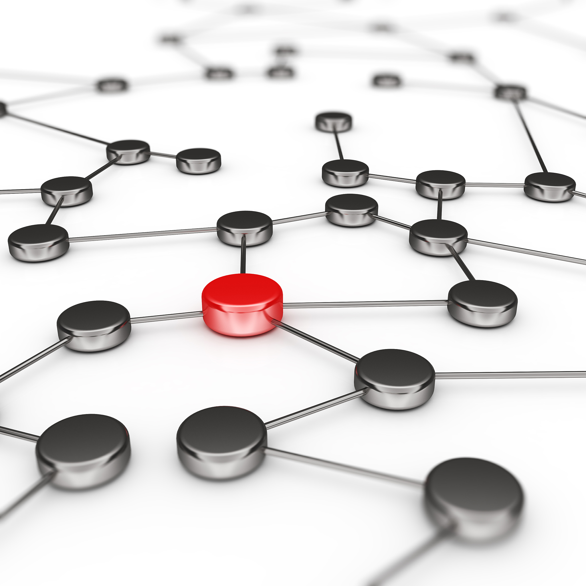 network connection