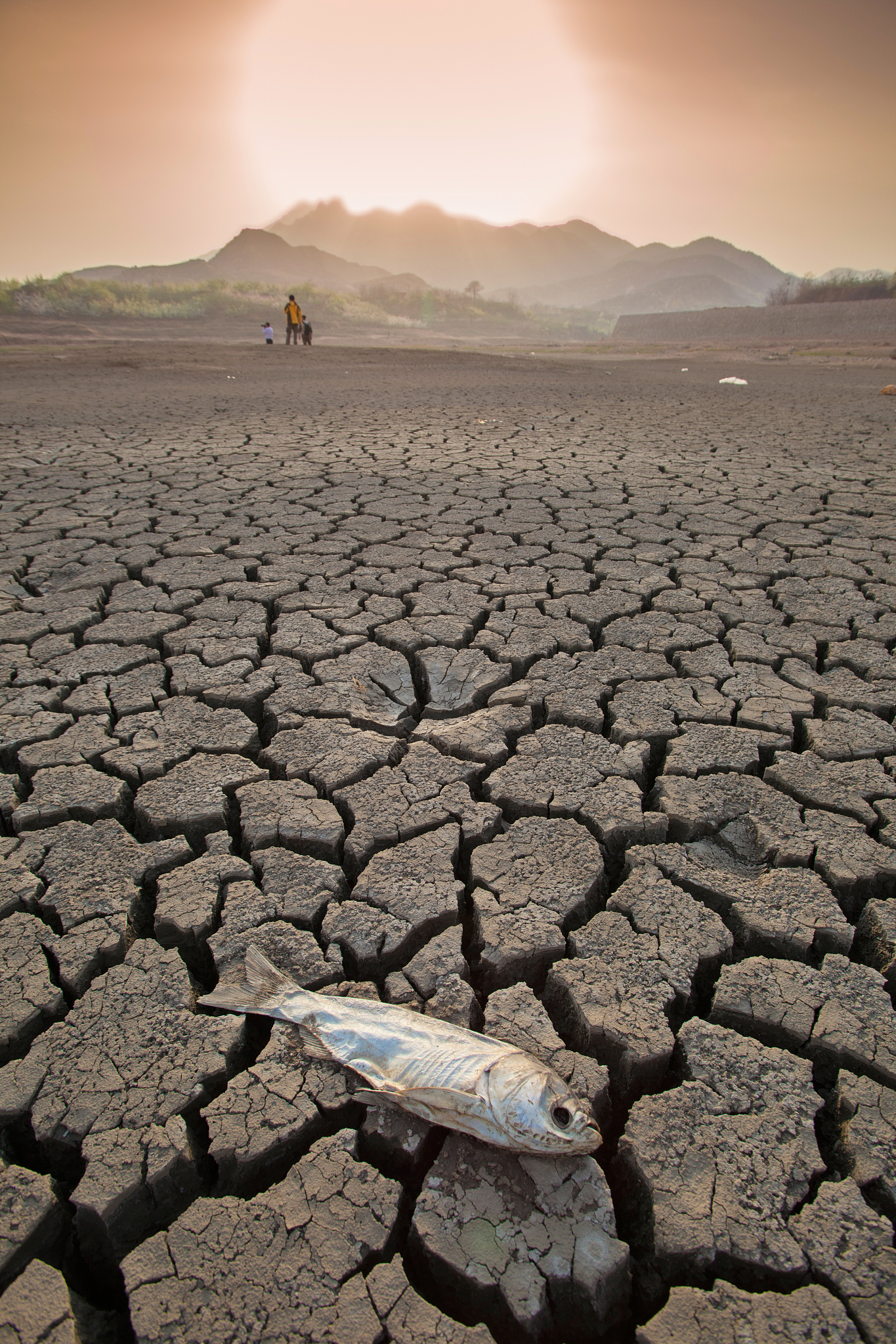 全球干旱地区分布及中国盐渍土概况
