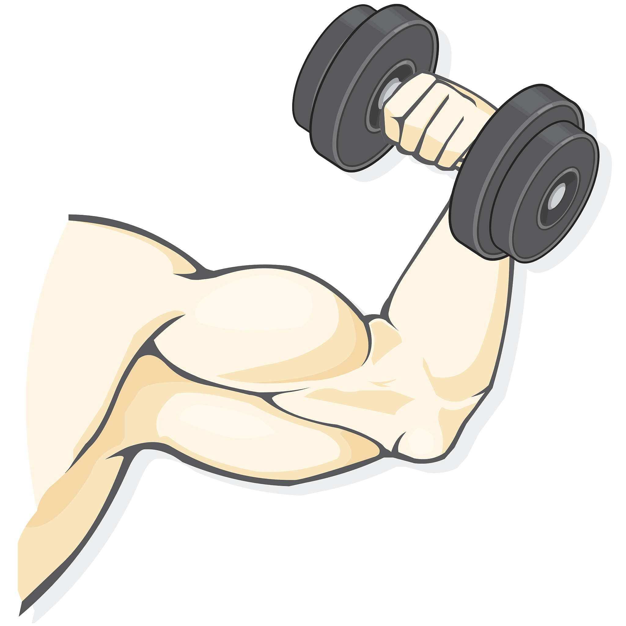 肱二头肌训练动作大全：弯举、小臂弯曲、交替弯举等