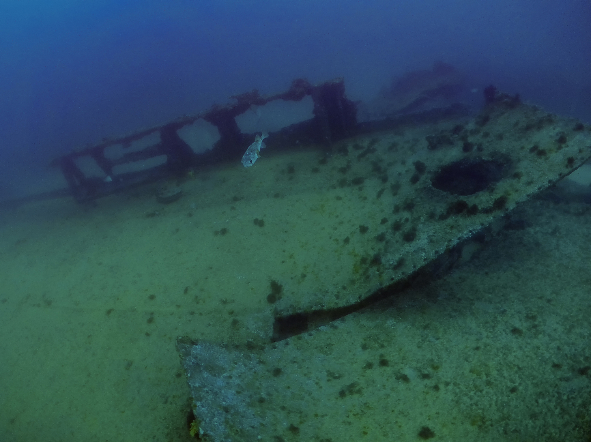 the wreck of the cargo ship lundenberg that sank in 1954 at land