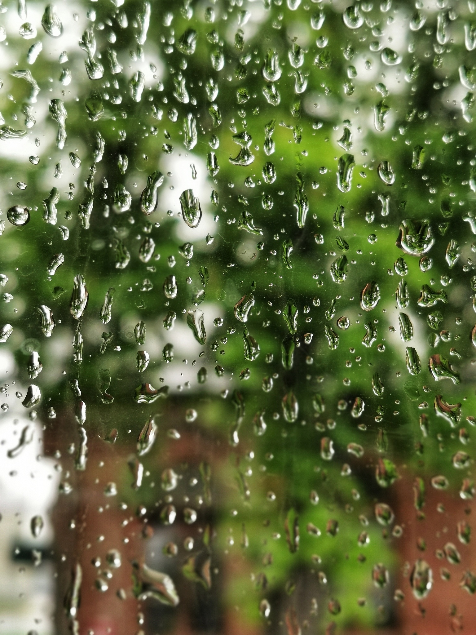 阳台赏雨，美不胜收！