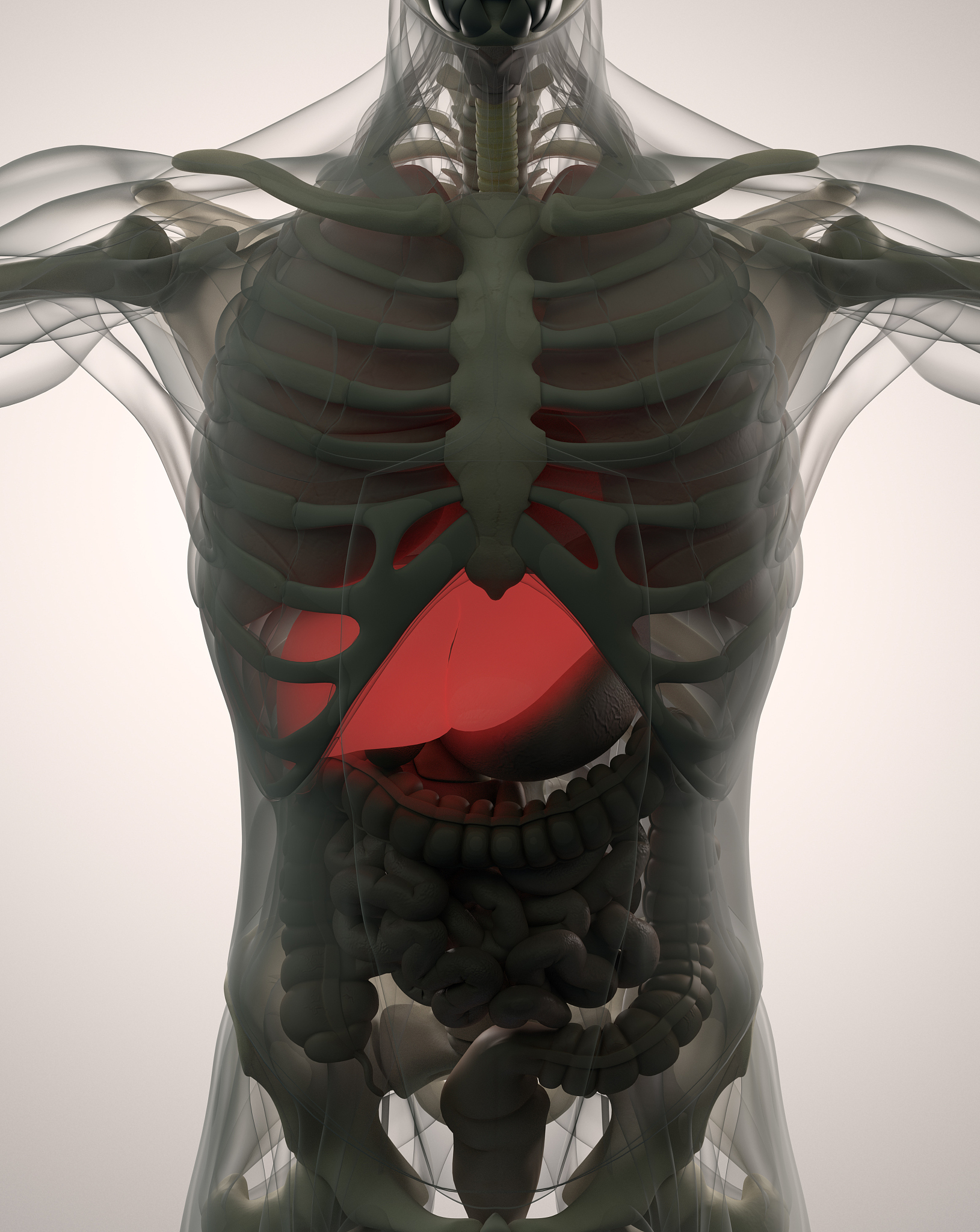 肝胆胰外科国家临床重点专科简介