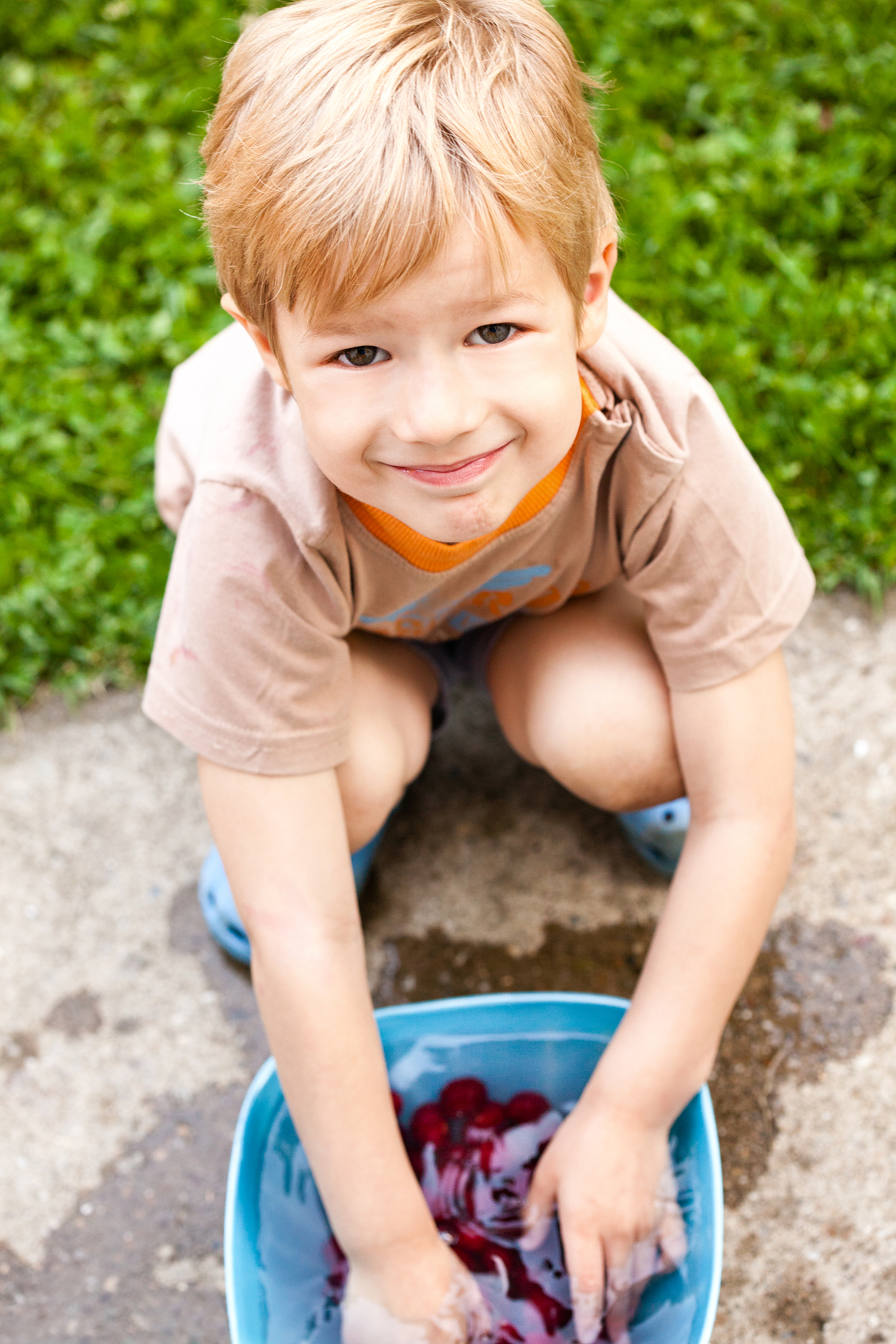 little boy washing cherries after harvesting