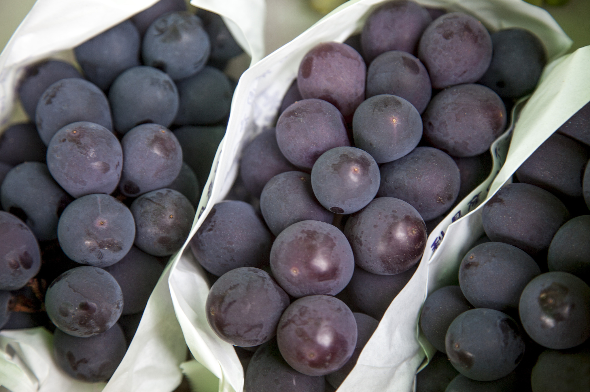 澳洲金手指黑提营养价值