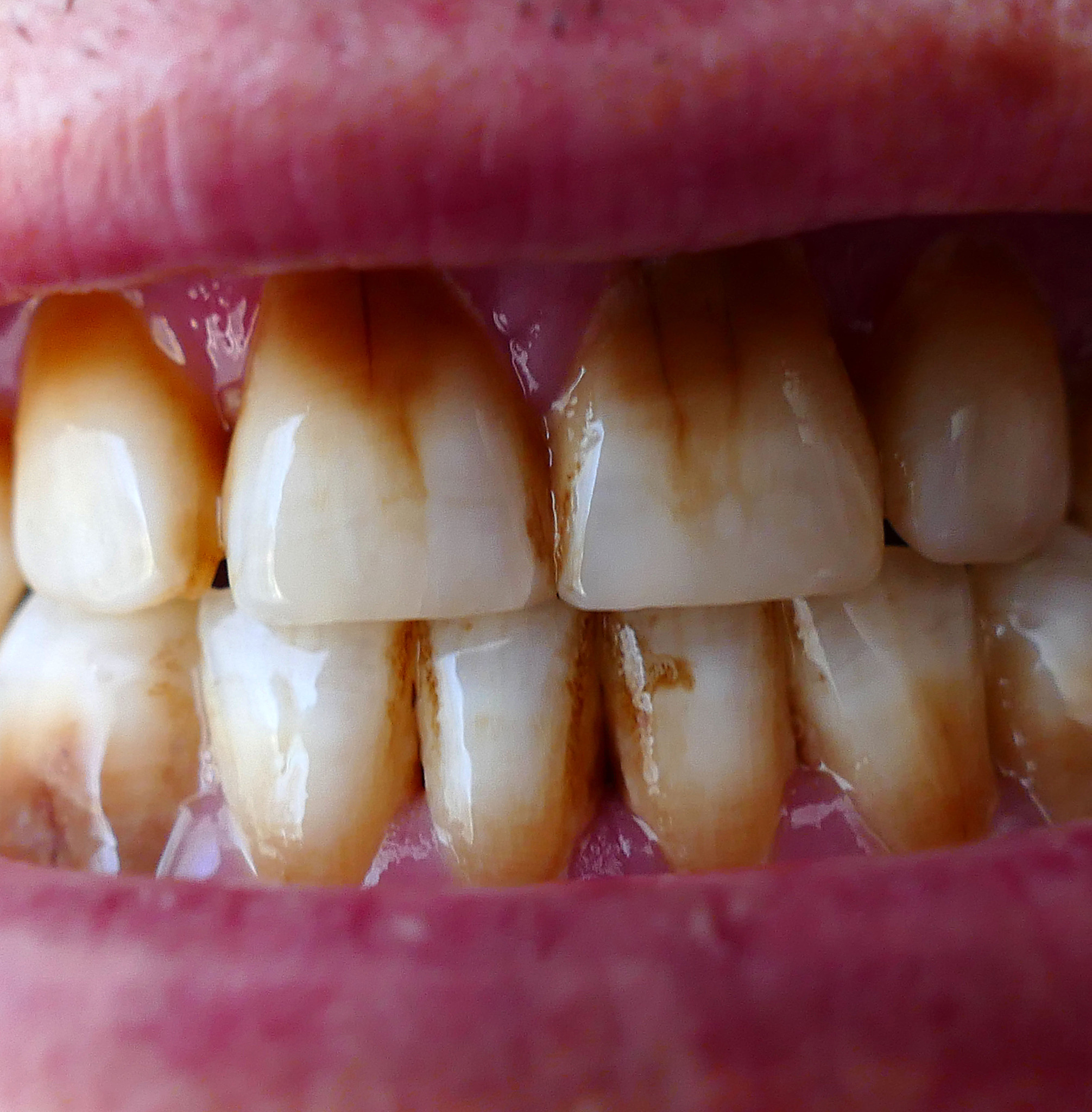 口腔大专学校2023最新信息 - 培养口腔医学人才的摇篮