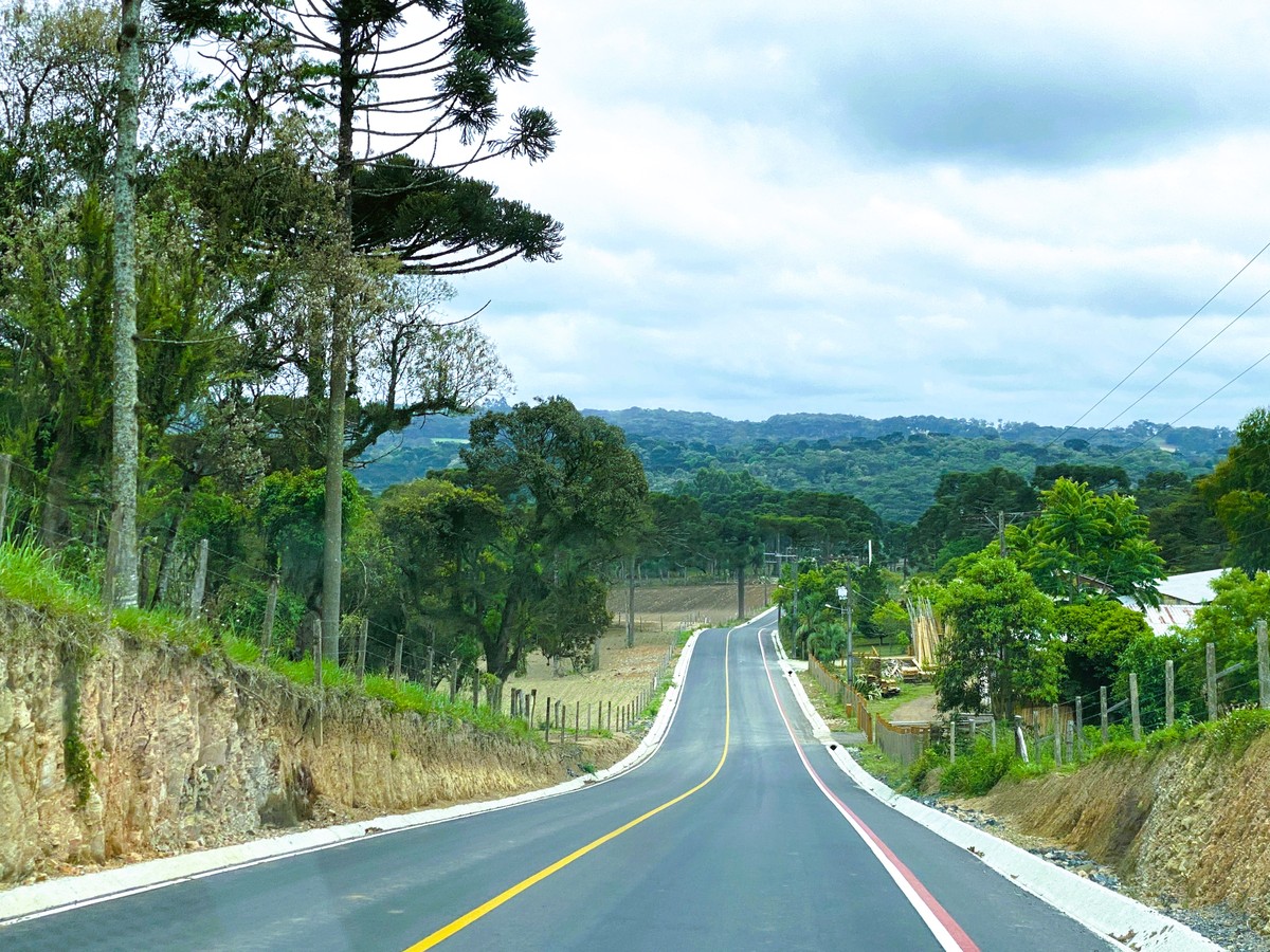 公路路域环境整治的总结