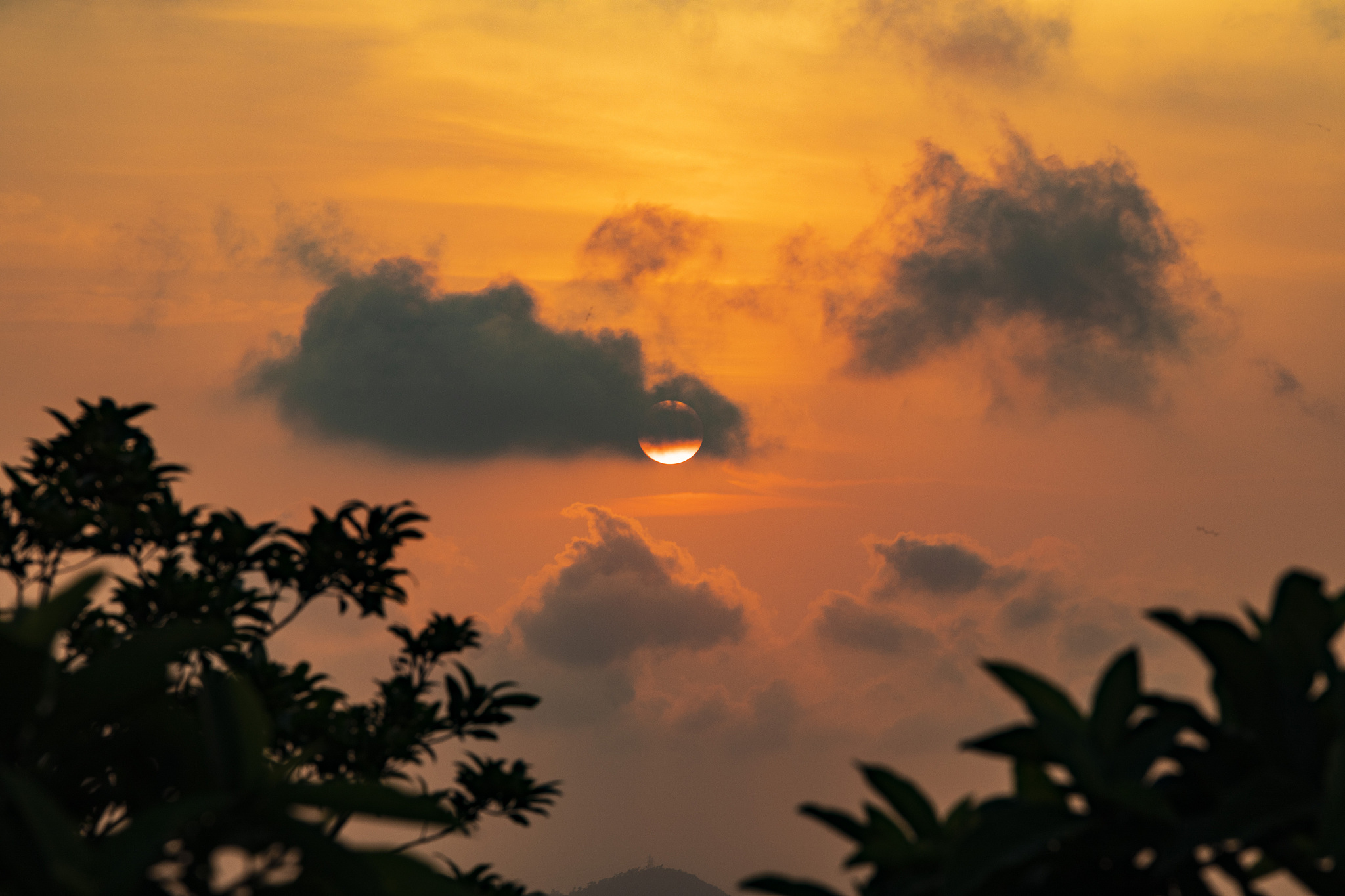 雨后山如睡残阳始露头-字谜