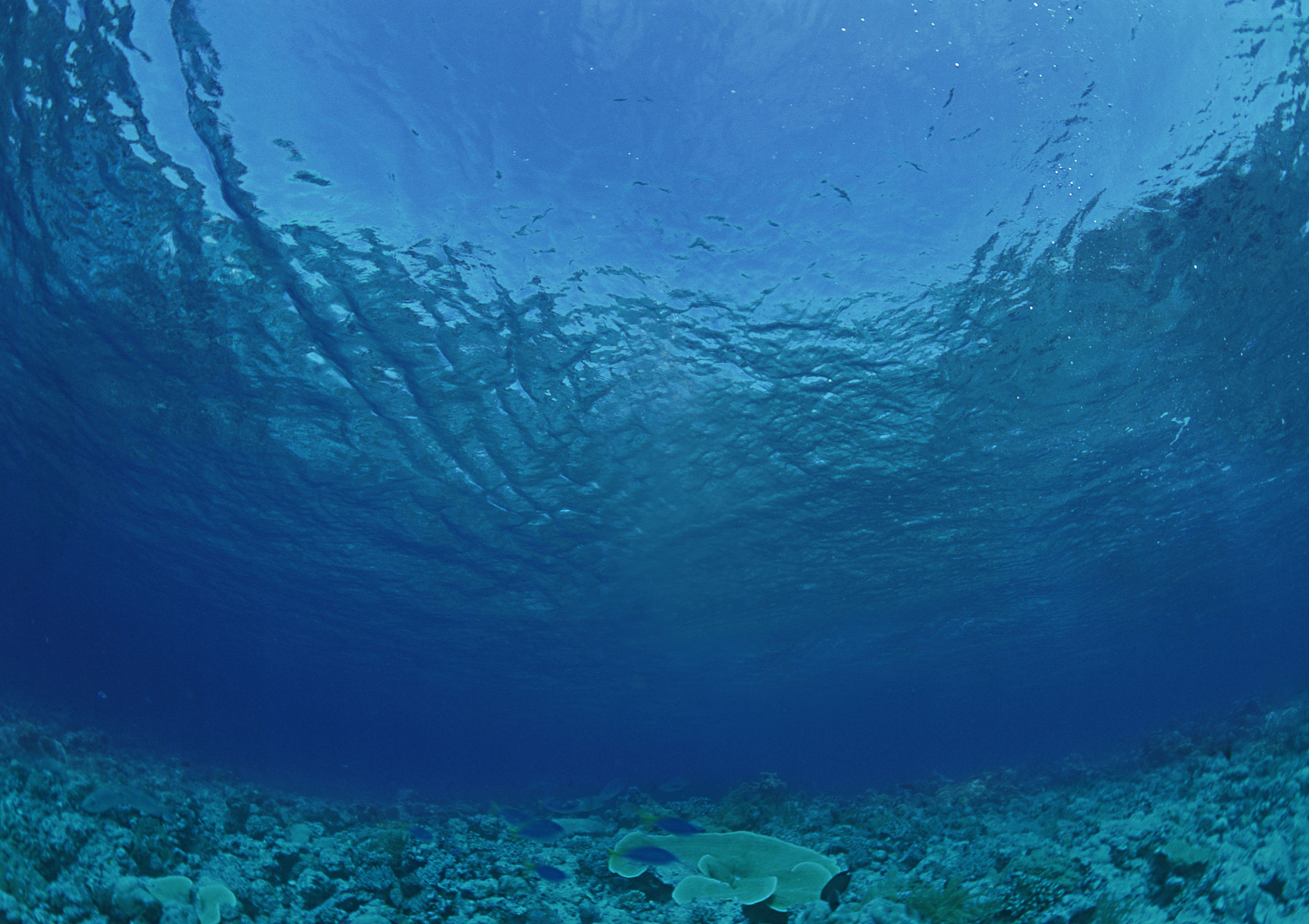 underwater