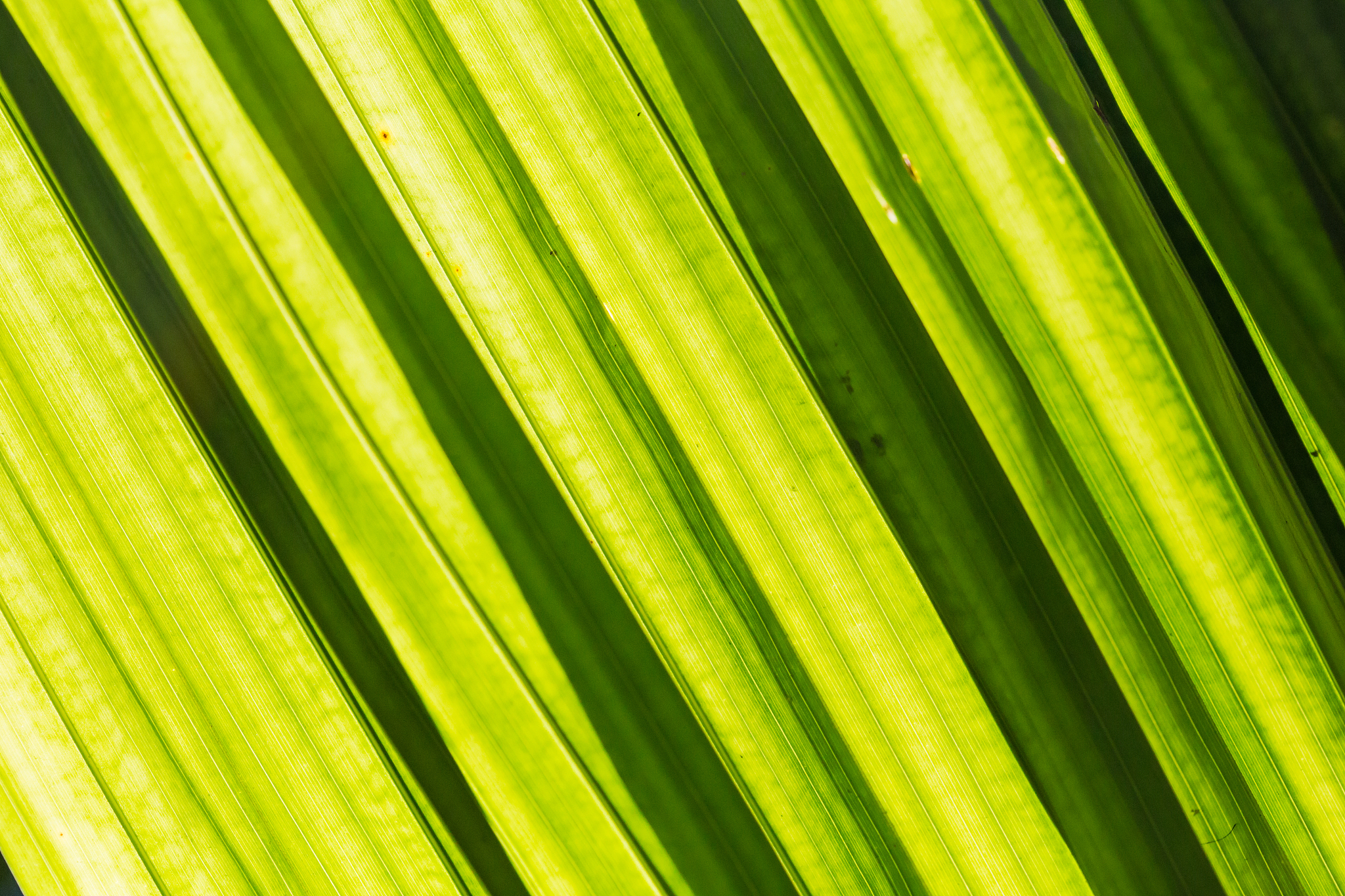 辽宁金融职业学院国际金融专业都学些什么