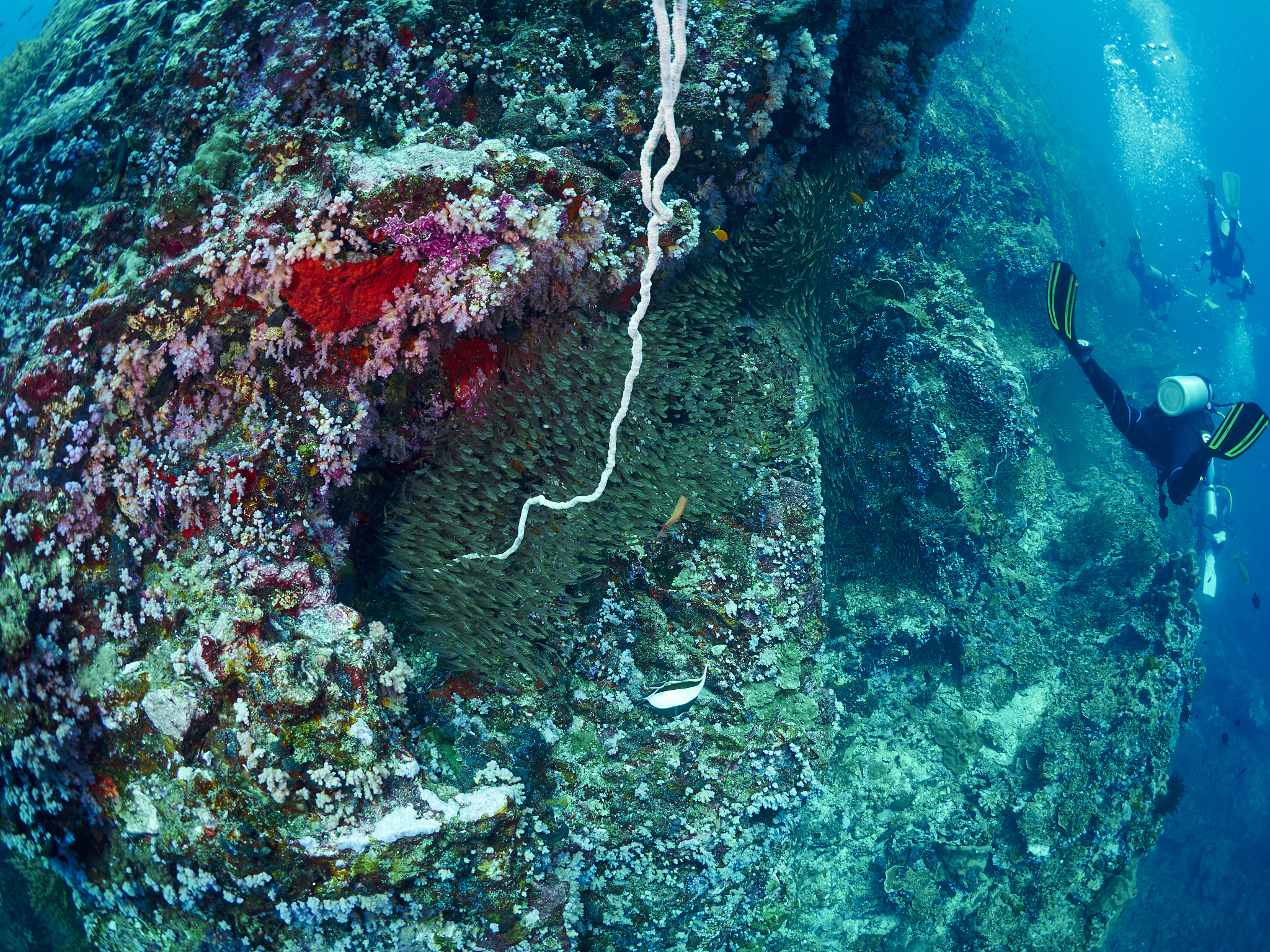 写一篇正规格式英文邮件投诉日本政府排放核污水