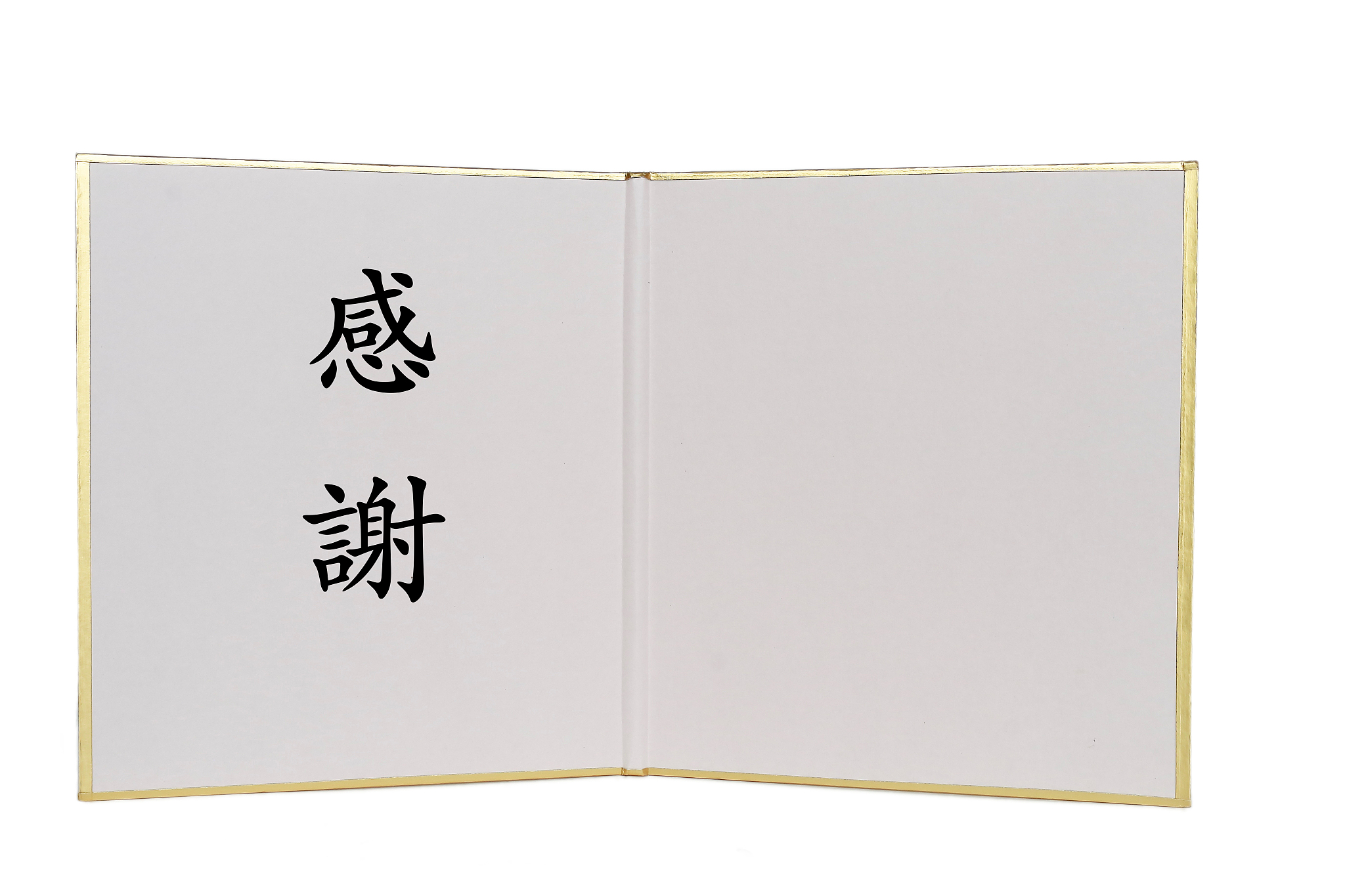 写一段1000字的致谢要有文采