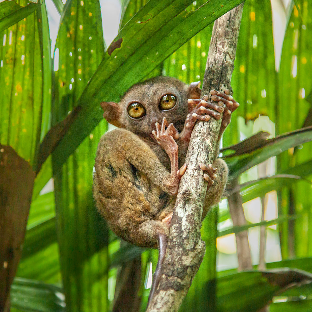 人类活动是怎么影响降雨的