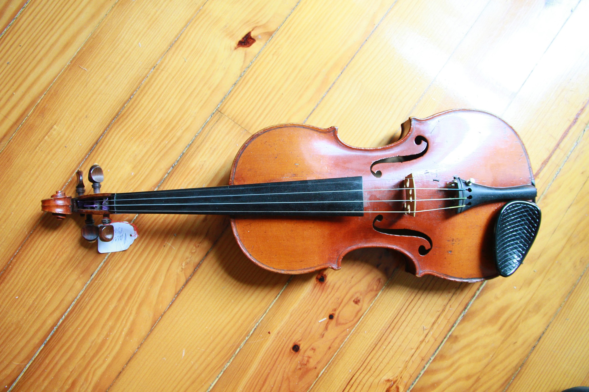 郑州音乐艺术中等专业学校2023年招生条件及专业人数怎么样