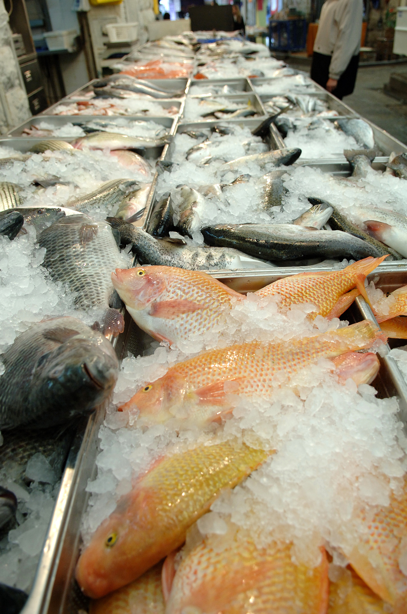 太湖三白：白鱼、白虾、白蟹，鲜美无比！