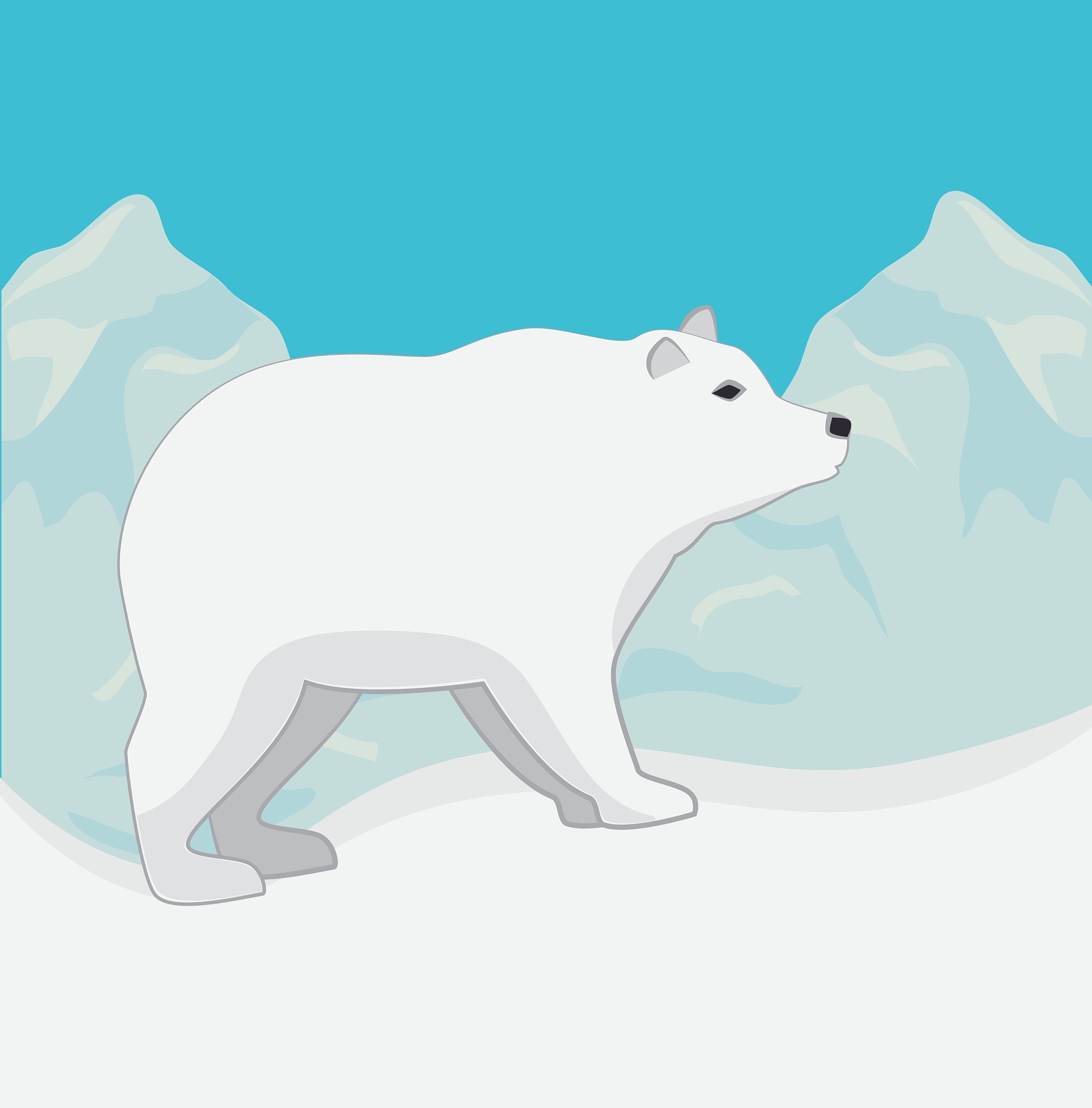 arctic bear animal