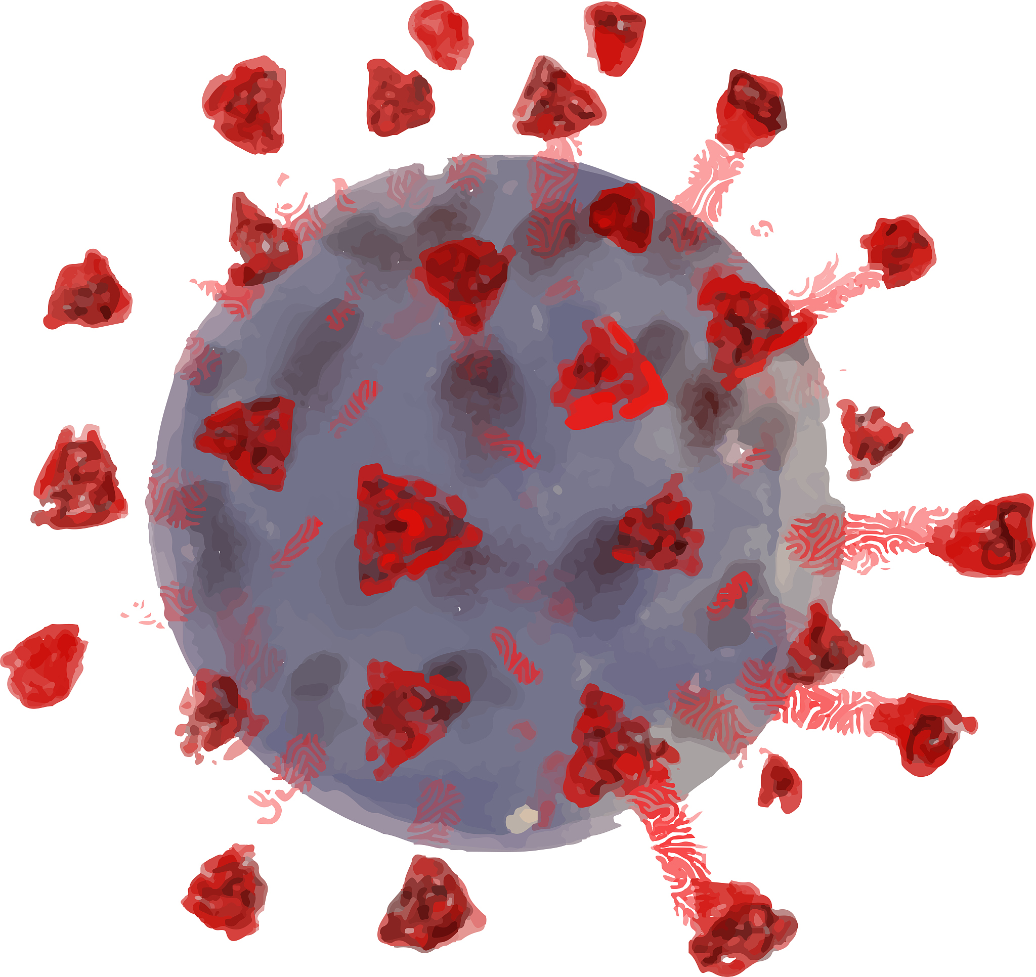 医学原虫：寄生虫种类、传播途径、诊断及预防