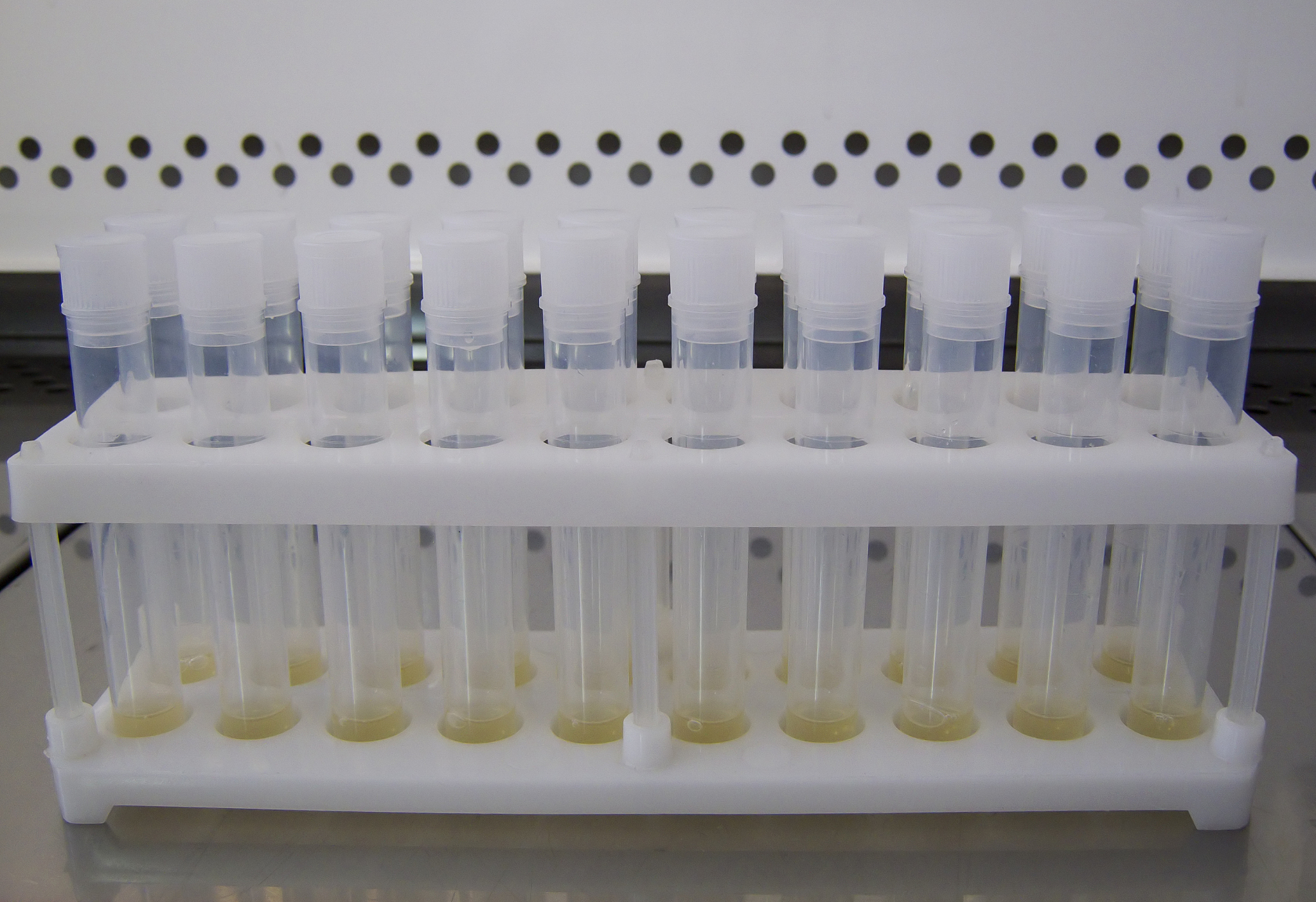 管式微滤膜：高效净化液体的膜材料