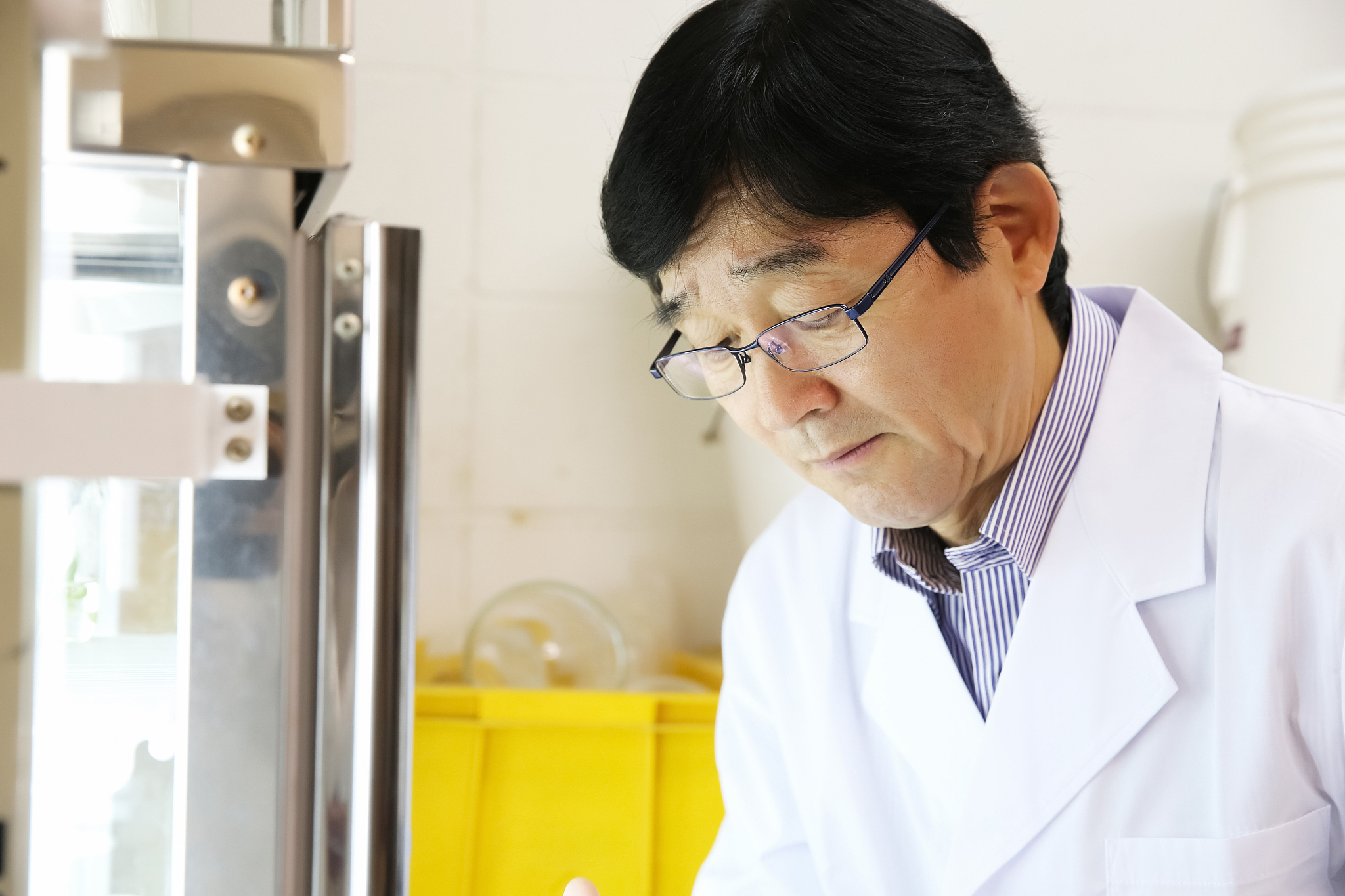 陈志远是谁回答加拓展。