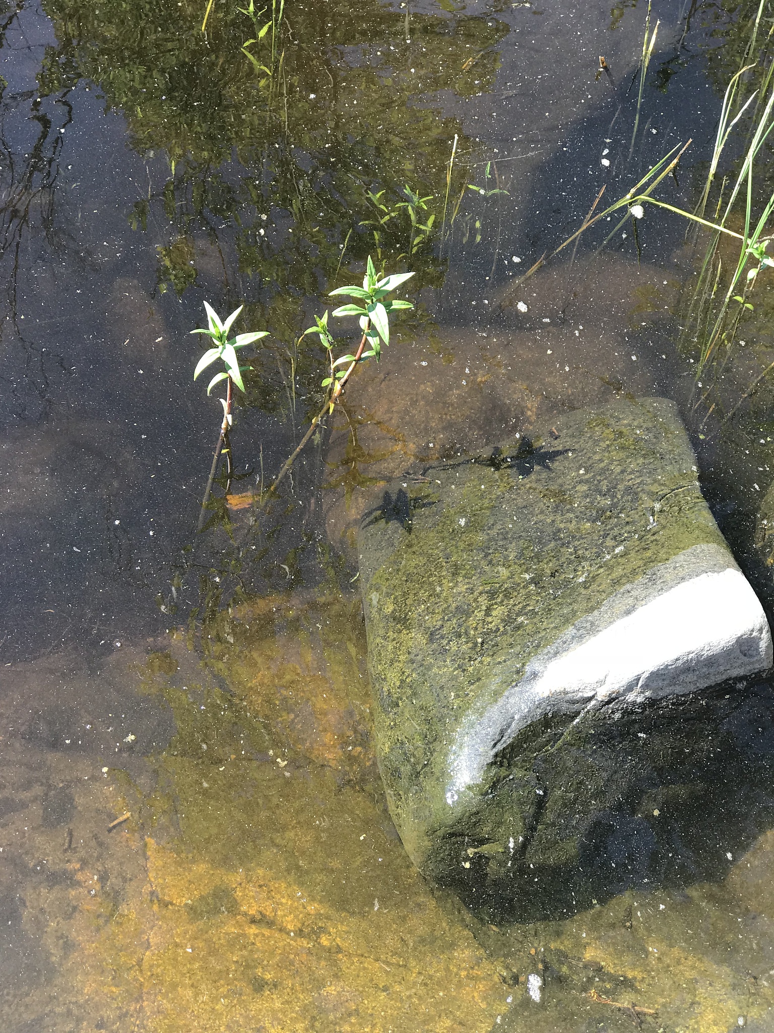 Привет! Как я могу помочь?