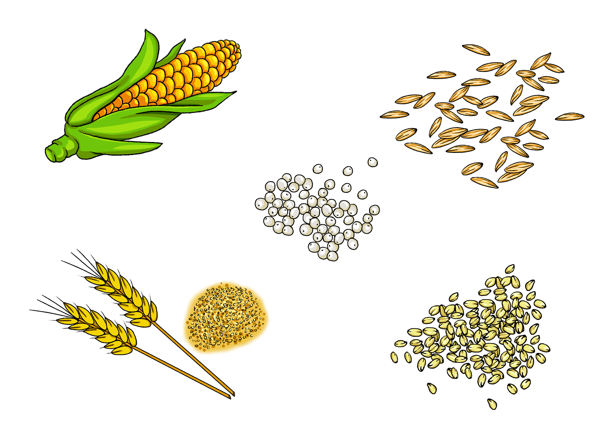连带性农产品有哪些？附常见类型及用途详解