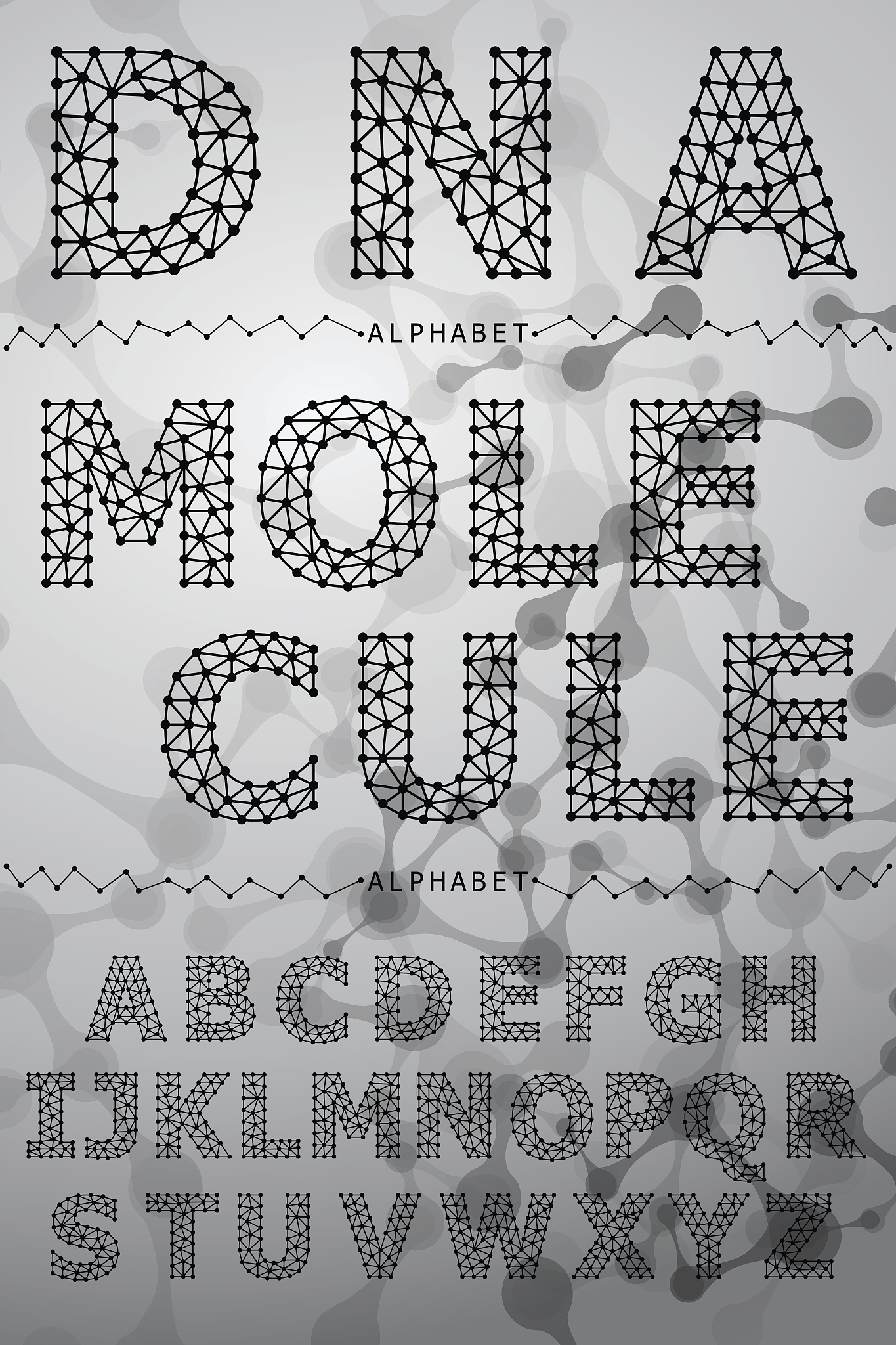 FVB能组成什么单词？