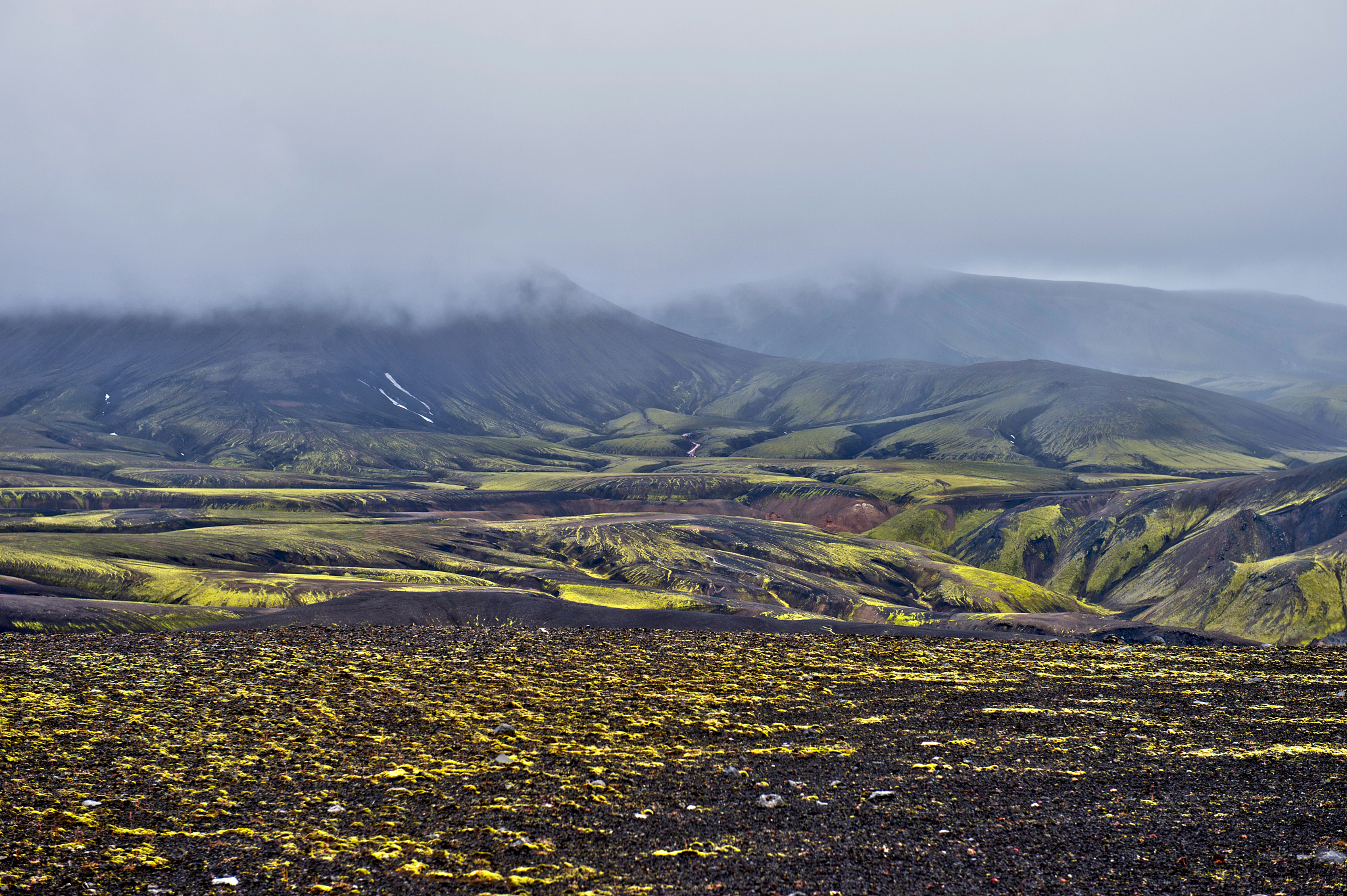 昆明市农业专业学校2019年五年制招生网