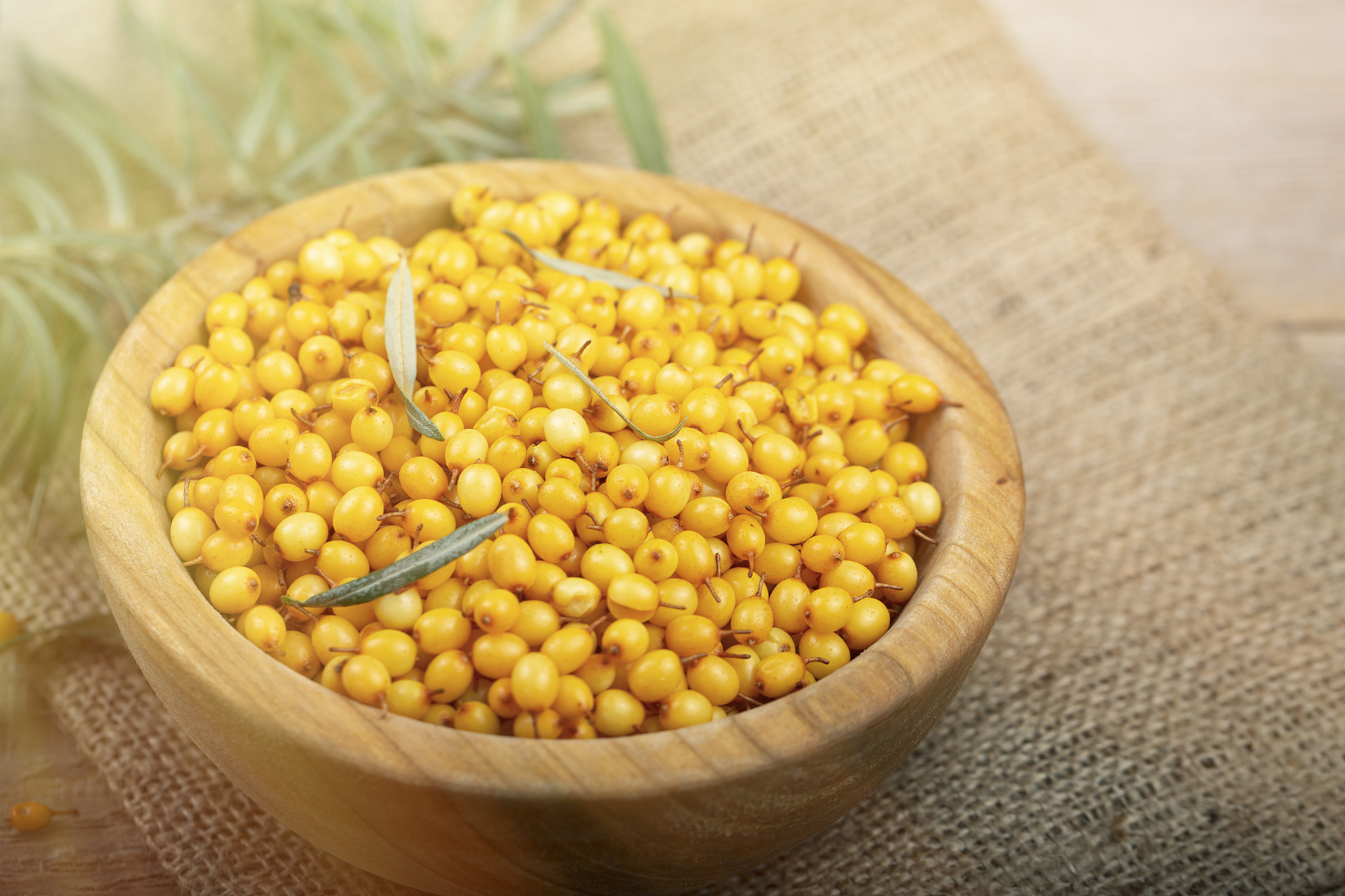 鼎鑫鲜榨沙棘果汁可以提高视力吗？