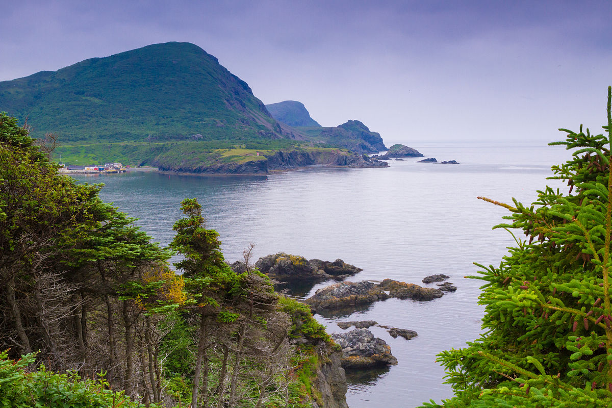 送寇侍御司马之明州景物特点？回答加解释