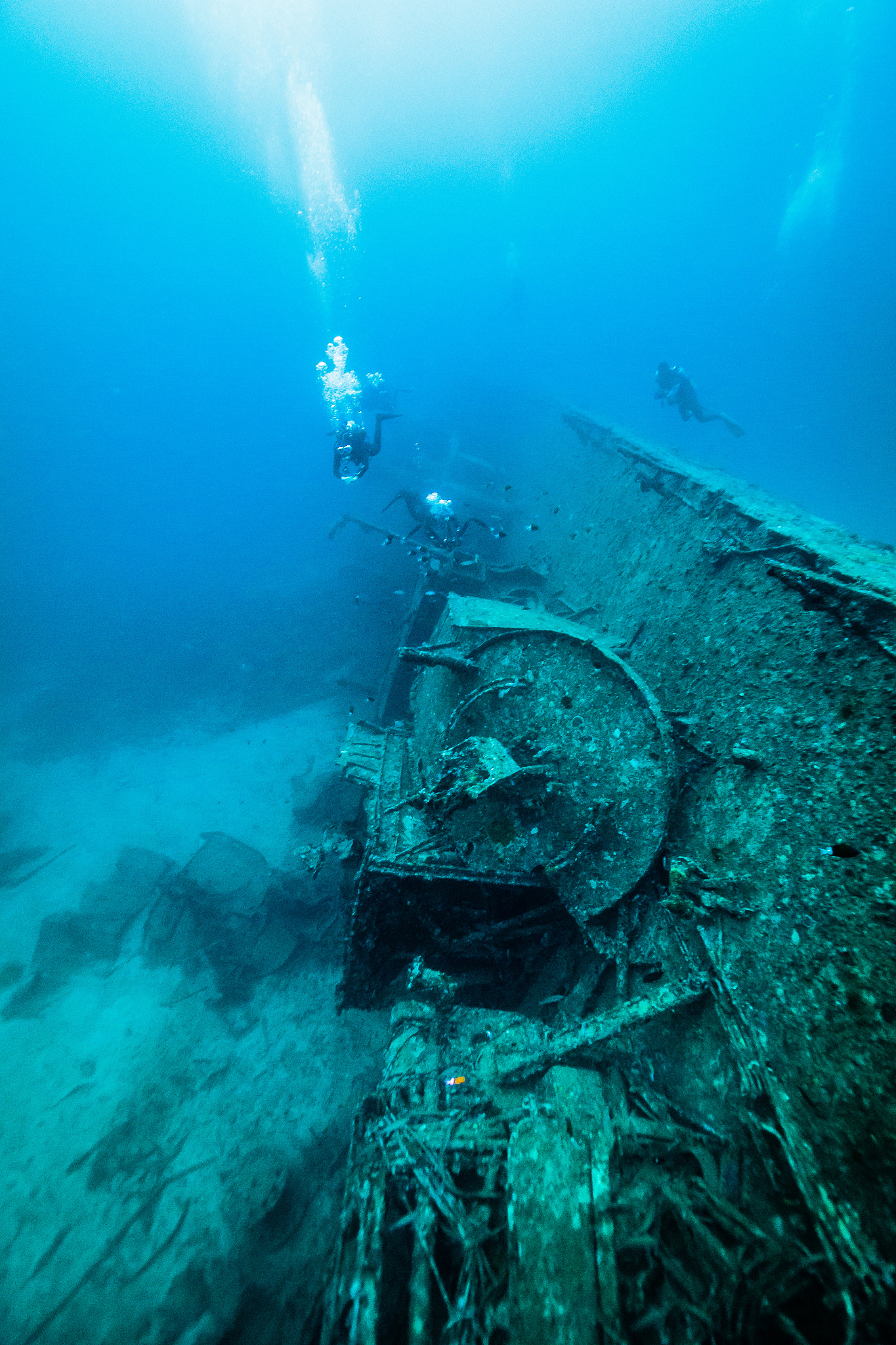 okinawa blue
