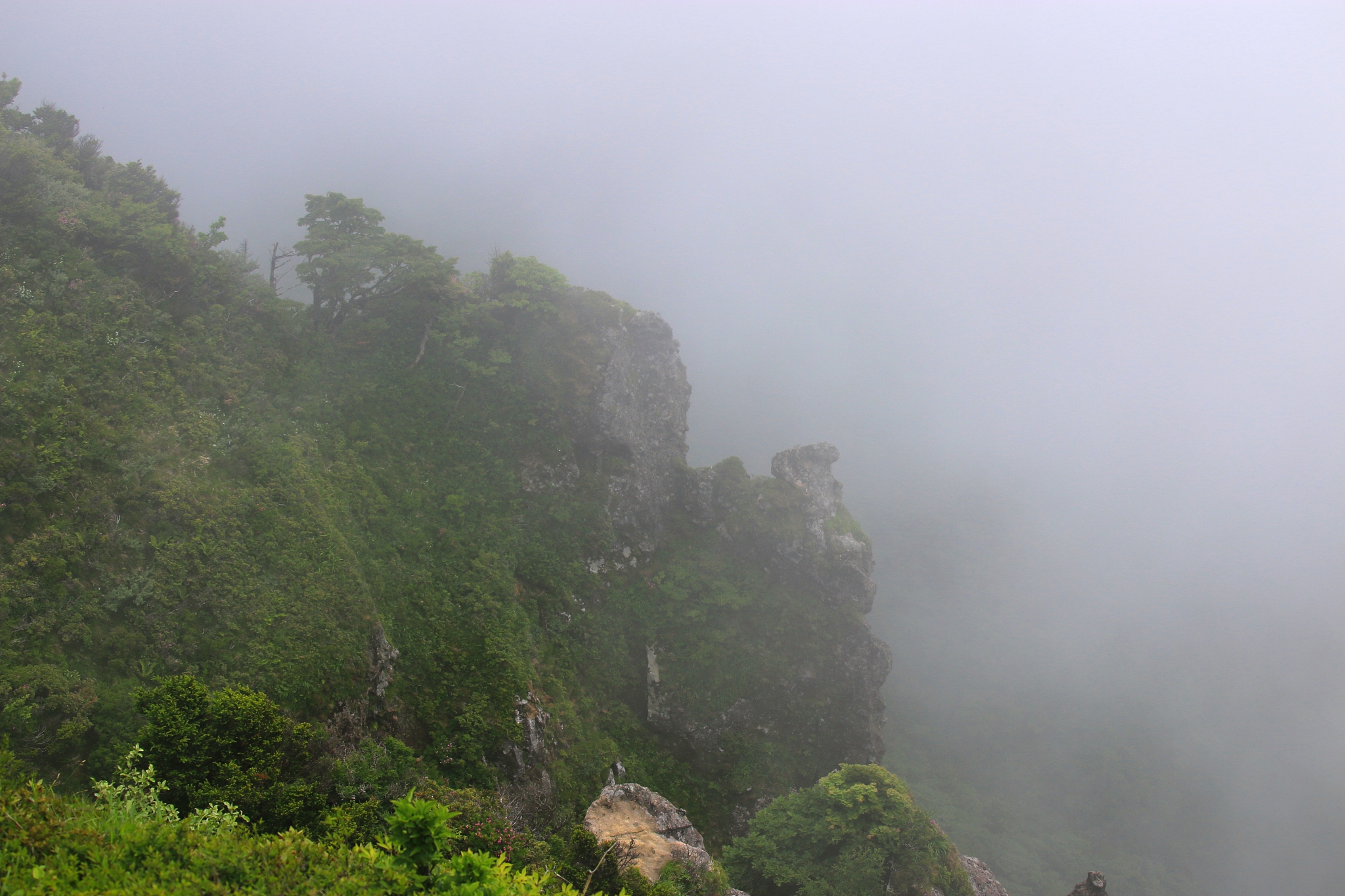 尖峰山探险：雾中奇遇记