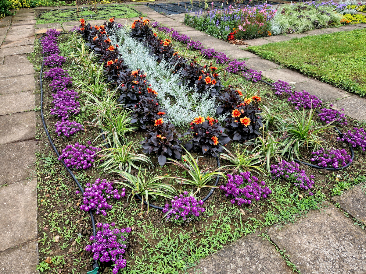 请写一篇描写春天学校里的植被的不超过250字的短文