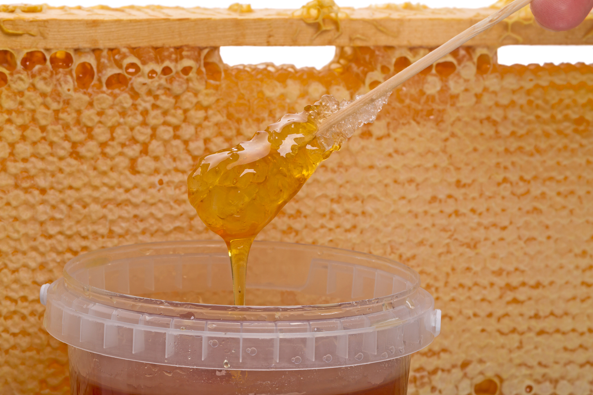 探寻蜂蜜之美：从花田到舌尖，尽享天然滋养