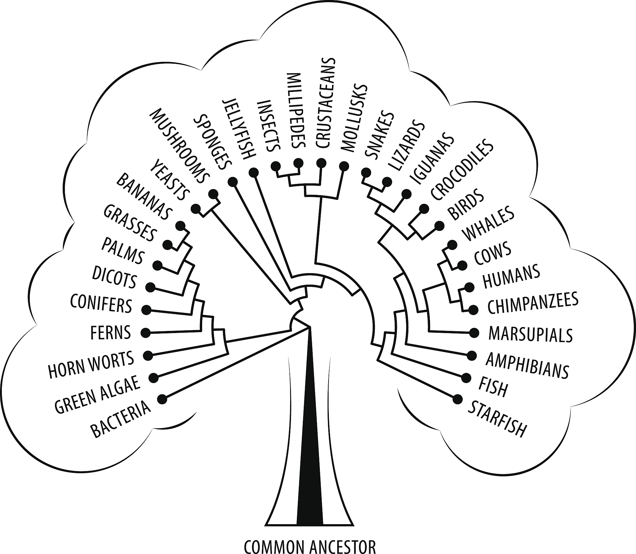 哲学：探索存在的意义，知识，价值和道德