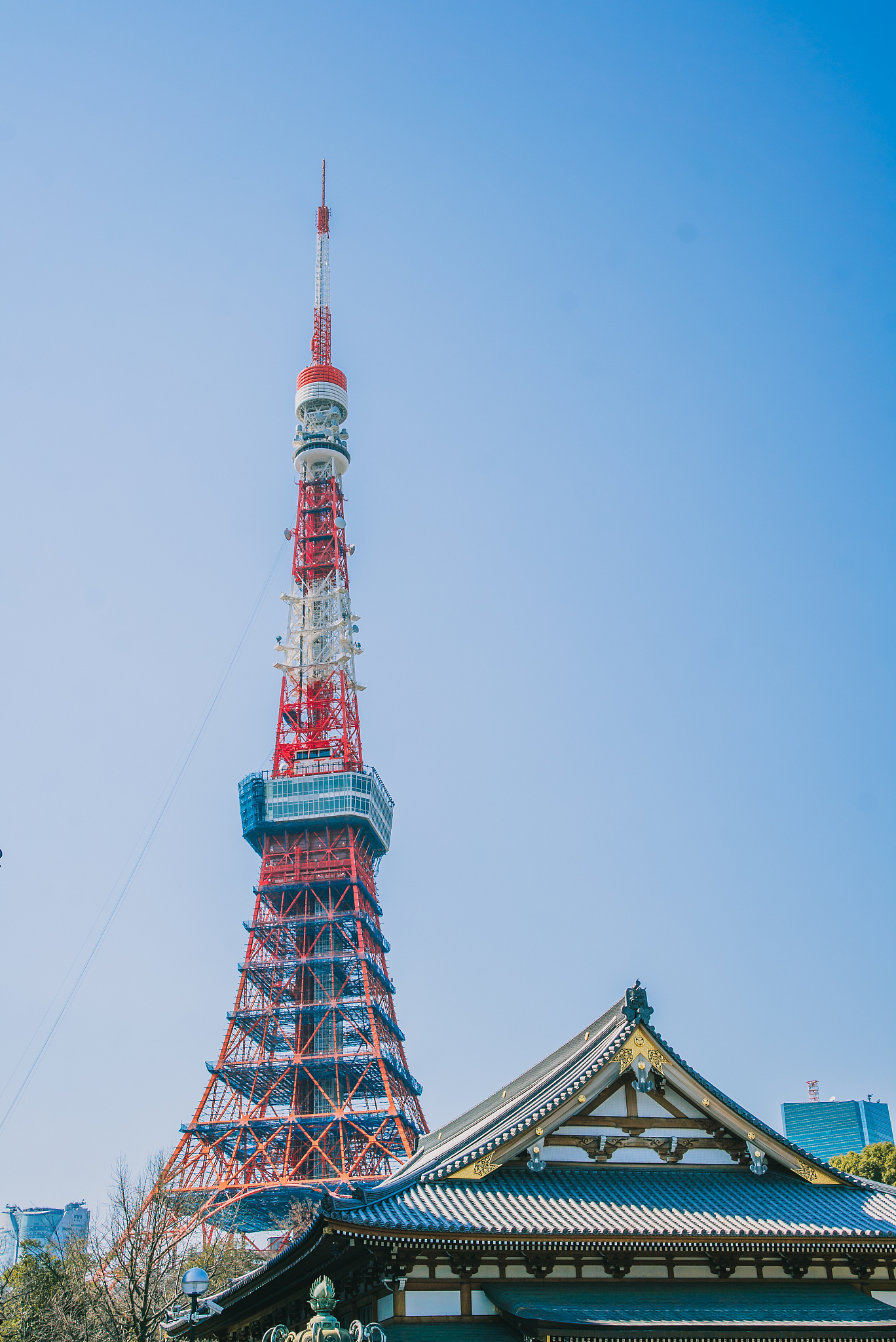 东京塔的铁塔大楼