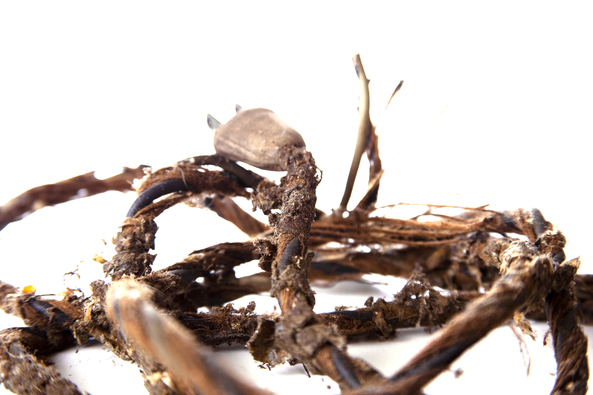 用斧头劈RPG会发生什么？