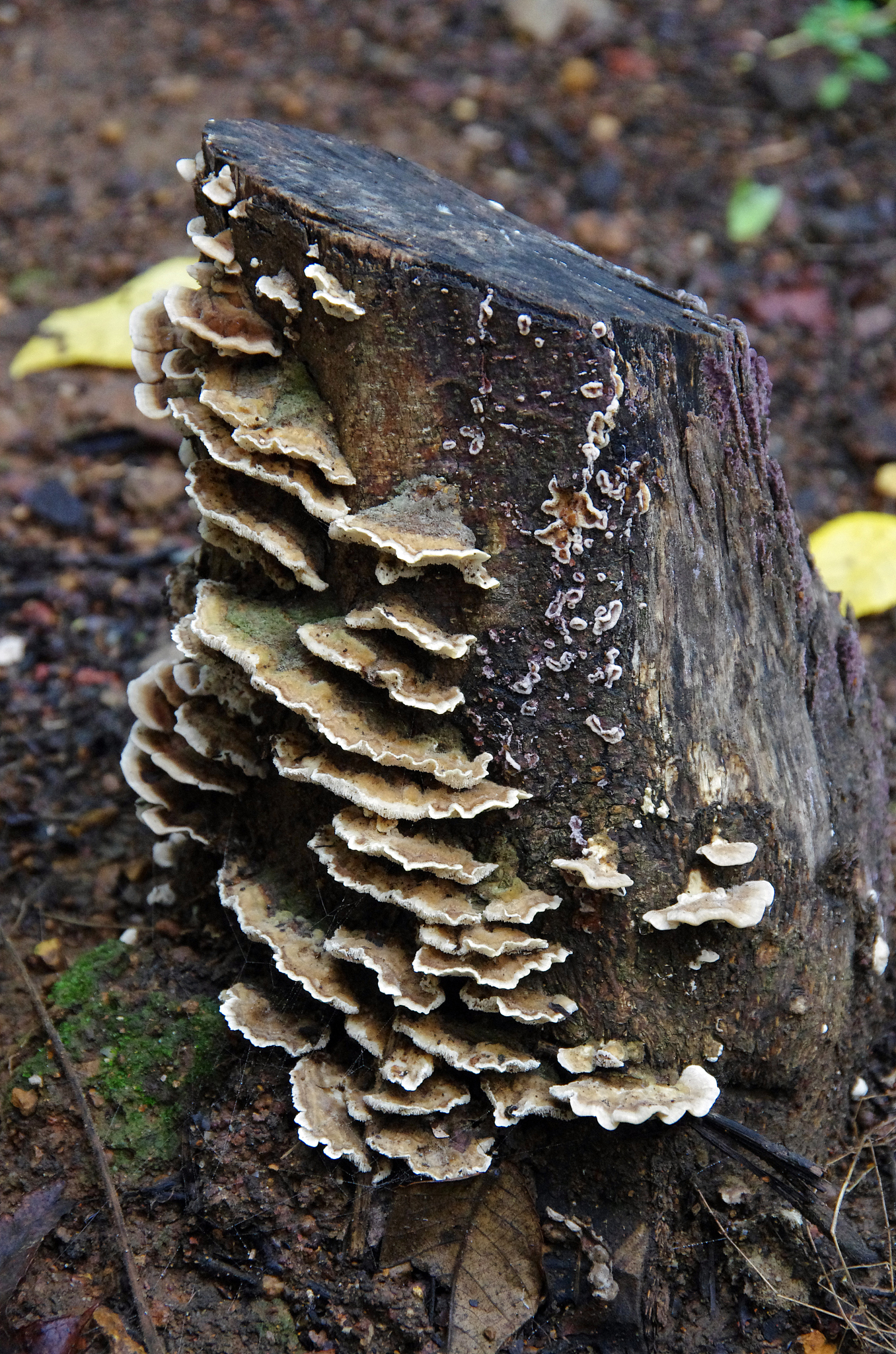 interesting textures