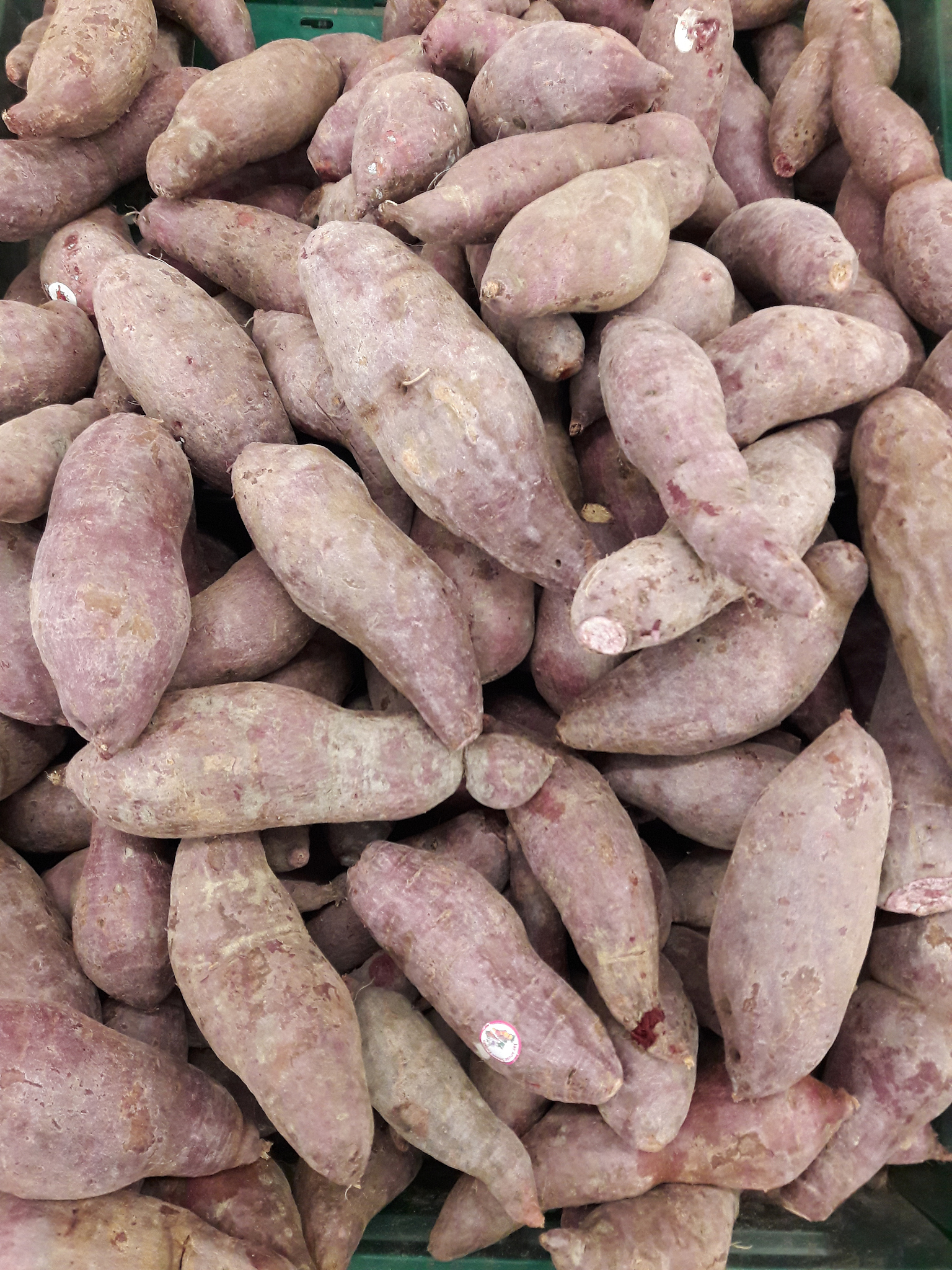 食品农产品认证机构信息填报指南：认监委网站“中国食品农产品认证信息系统”要求