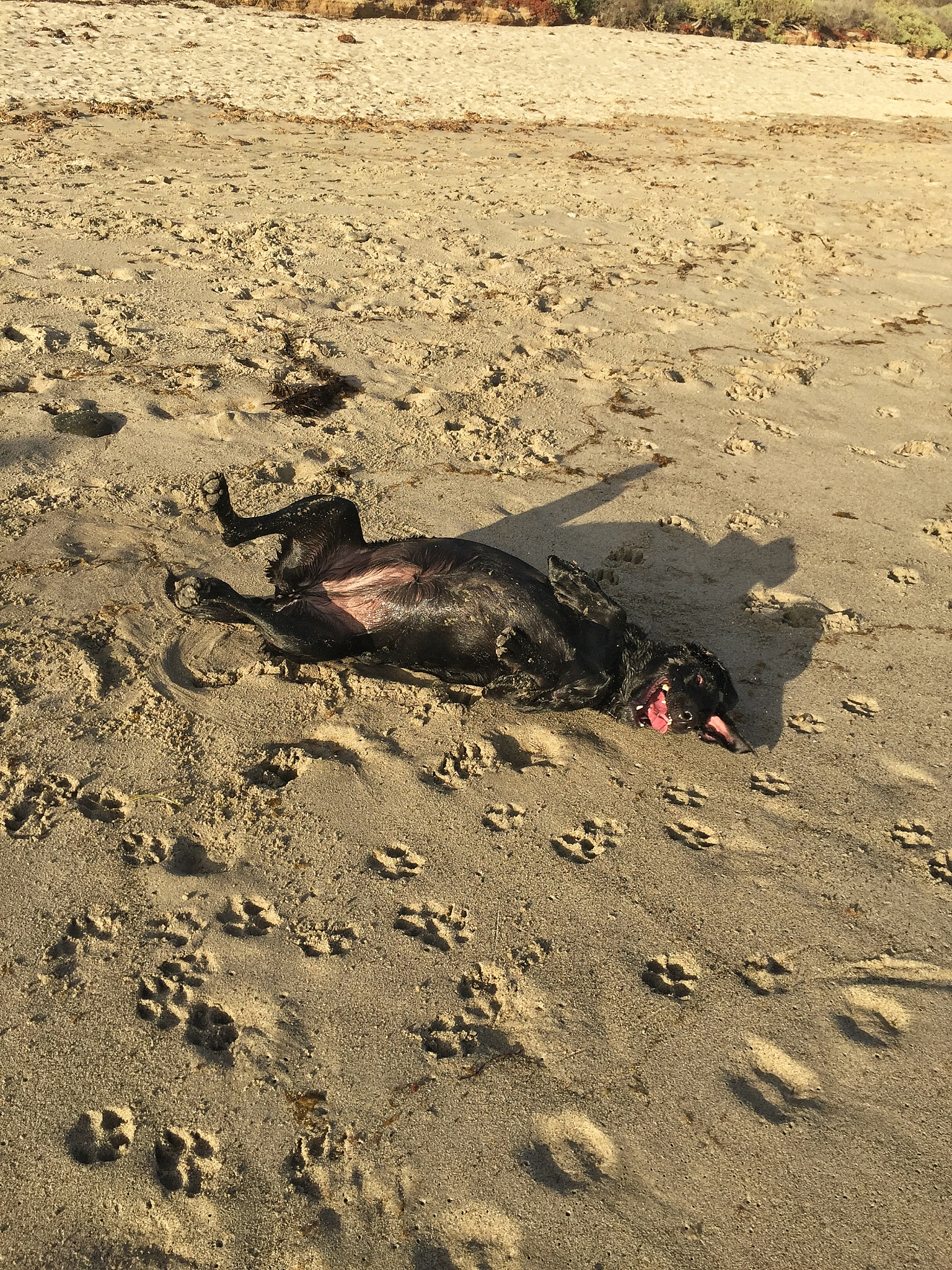 白银连环杀人案