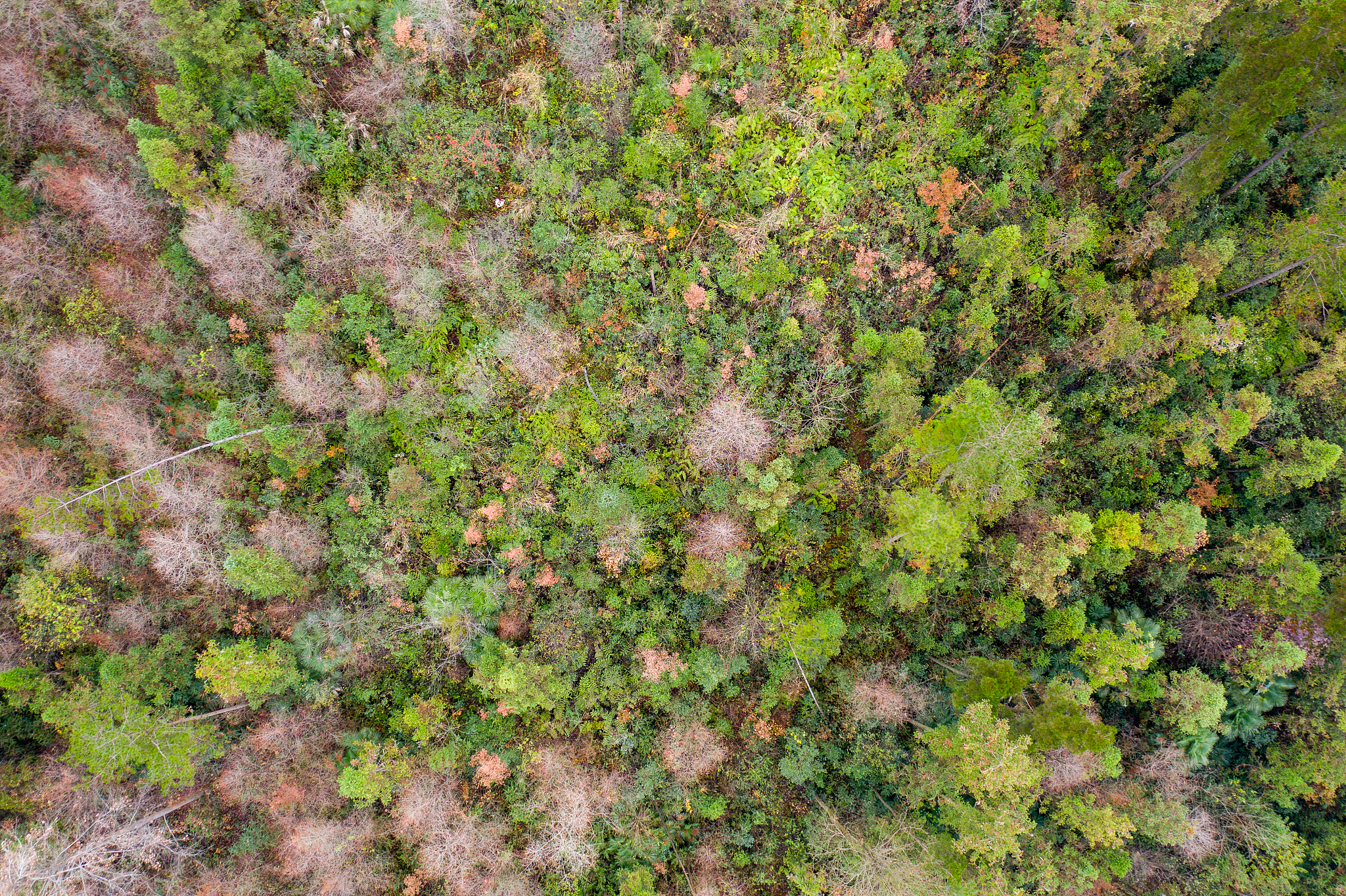 恩施媒体曝光求助平台汇总：热线电话、网络平台、发稿渠道一网打尽